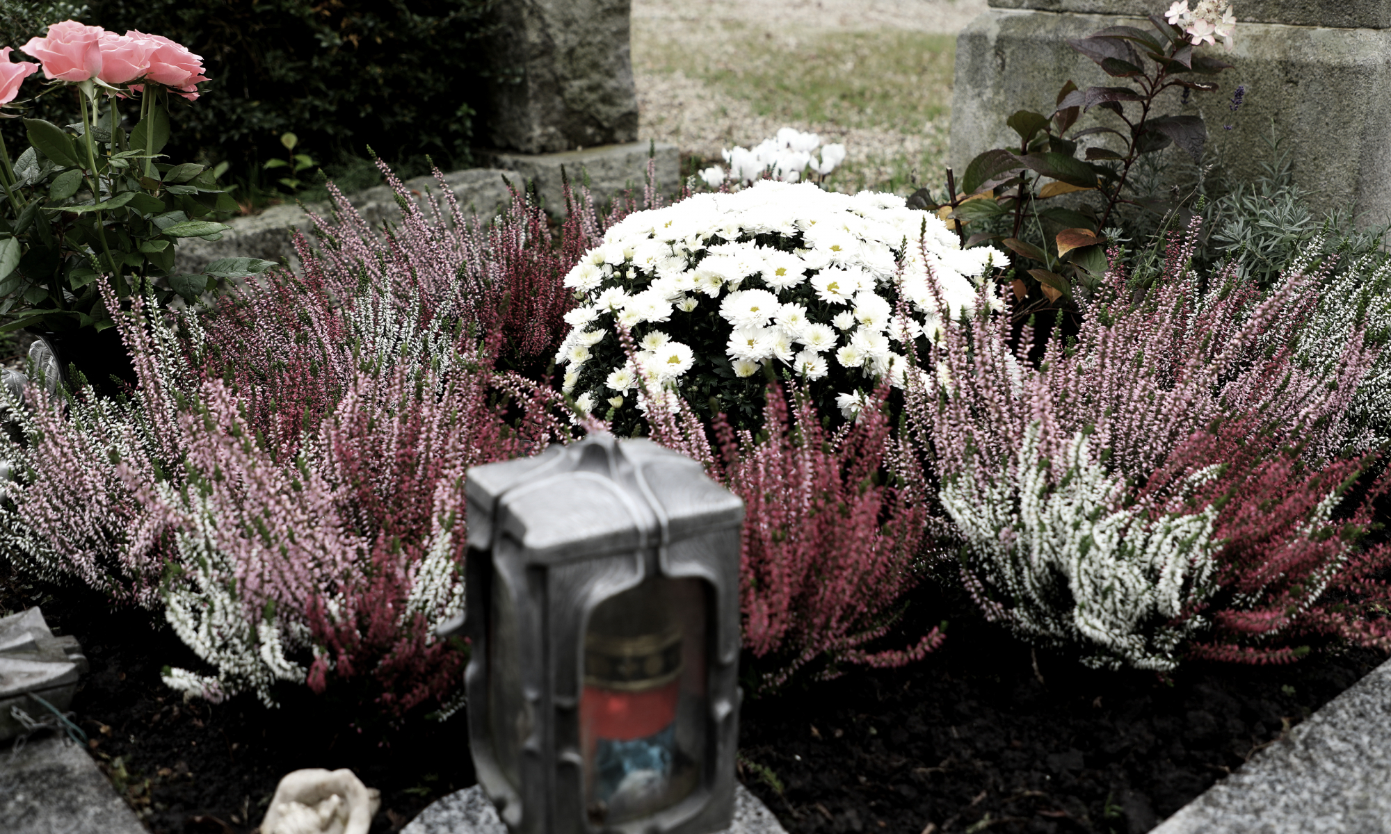191101_Allerheiligen_foto-grab-innstadtfriedhof-SH