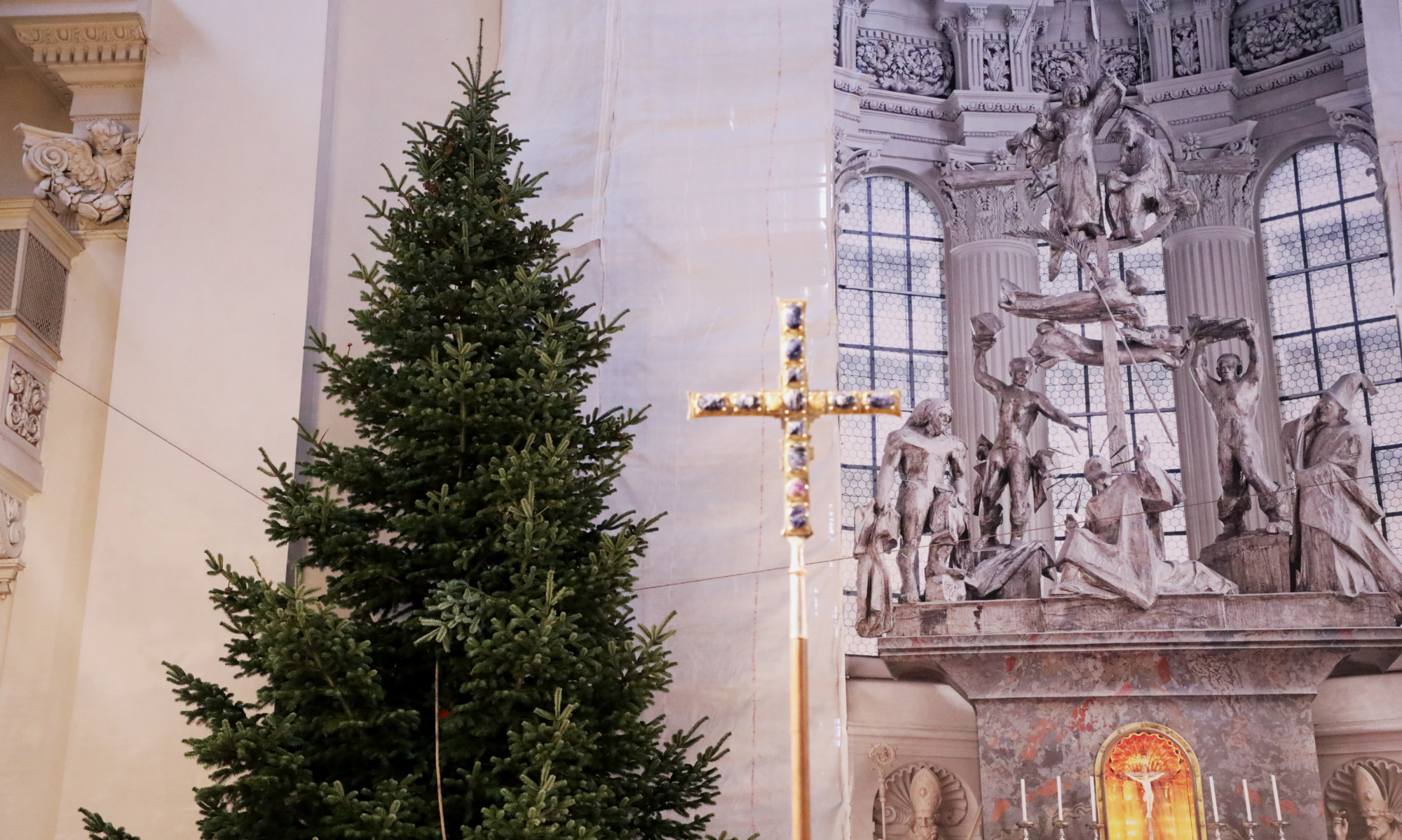 201215 Christbaumaufstellen Dom foto12