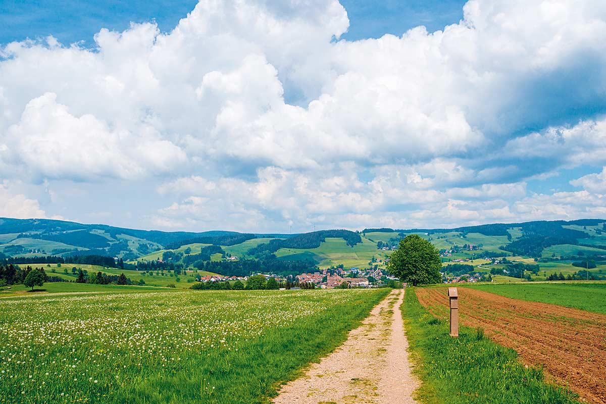 2019 Beratung Seelsorge Laendliche Familienberatung Landschaft