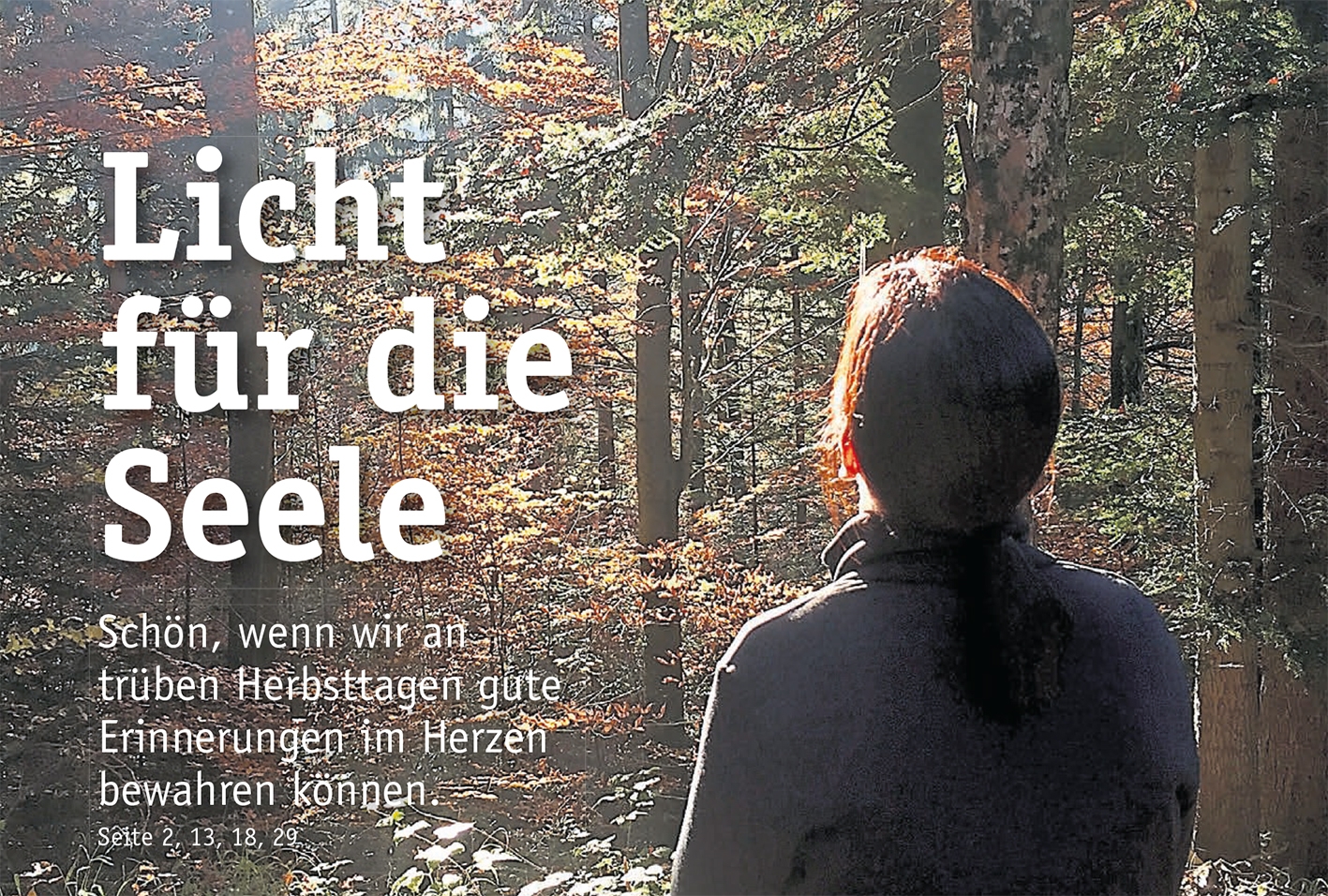 2024 10 14 pb alb aufmacher ausgabe 43 2024