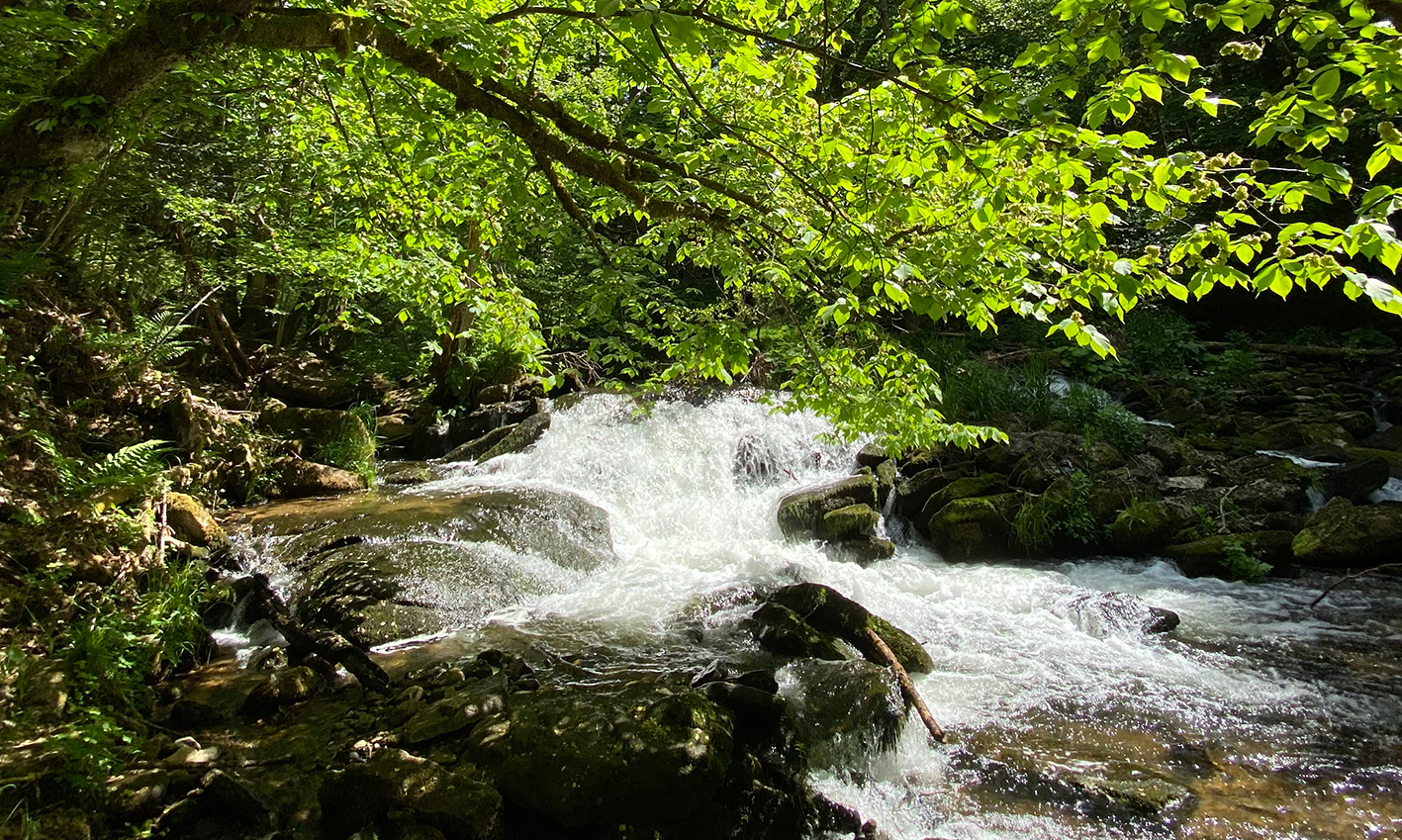 2025 03 17 pb alb wasser1
