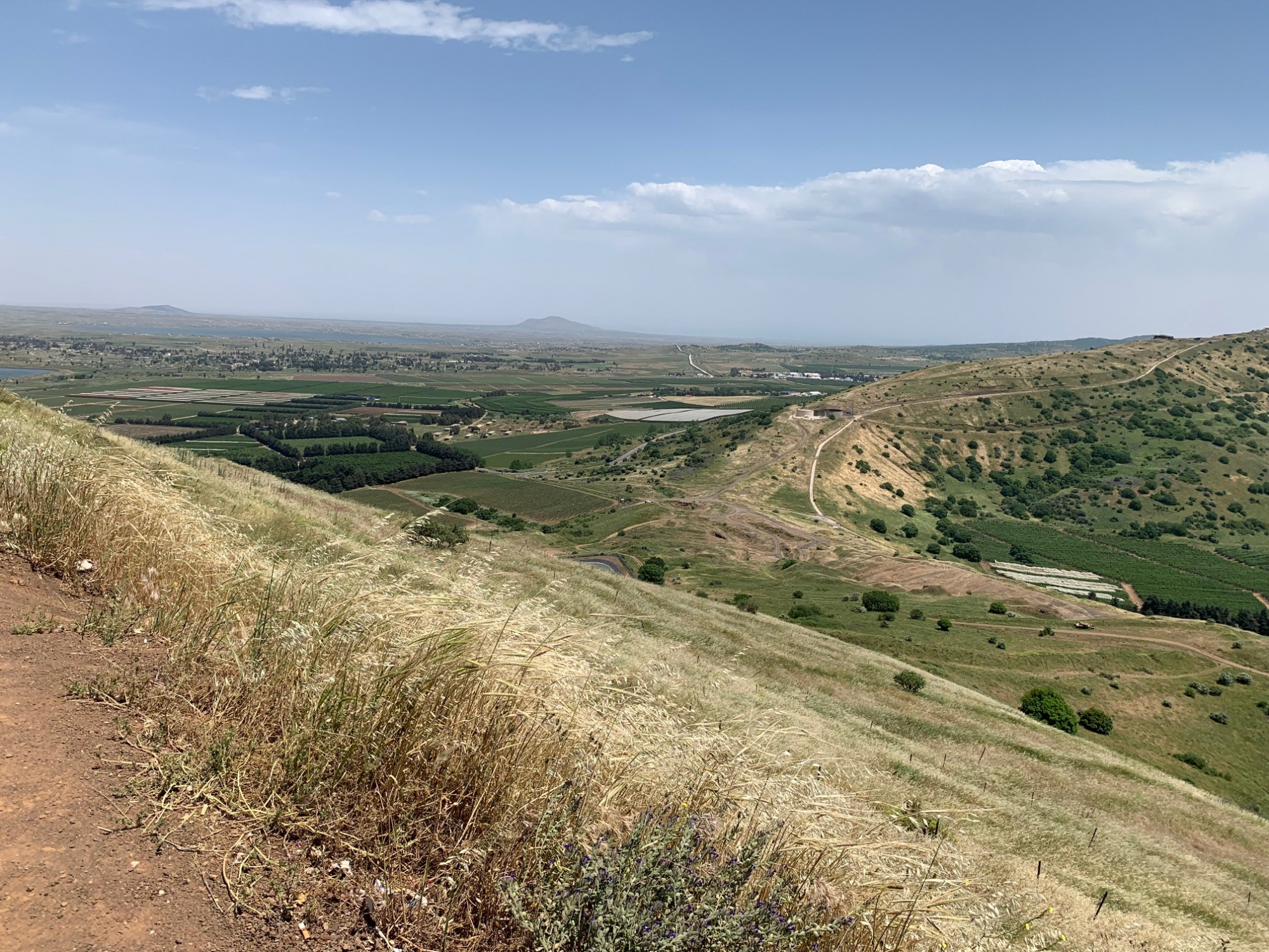 Blick-vom-Mount-Bental-nach-Syrien