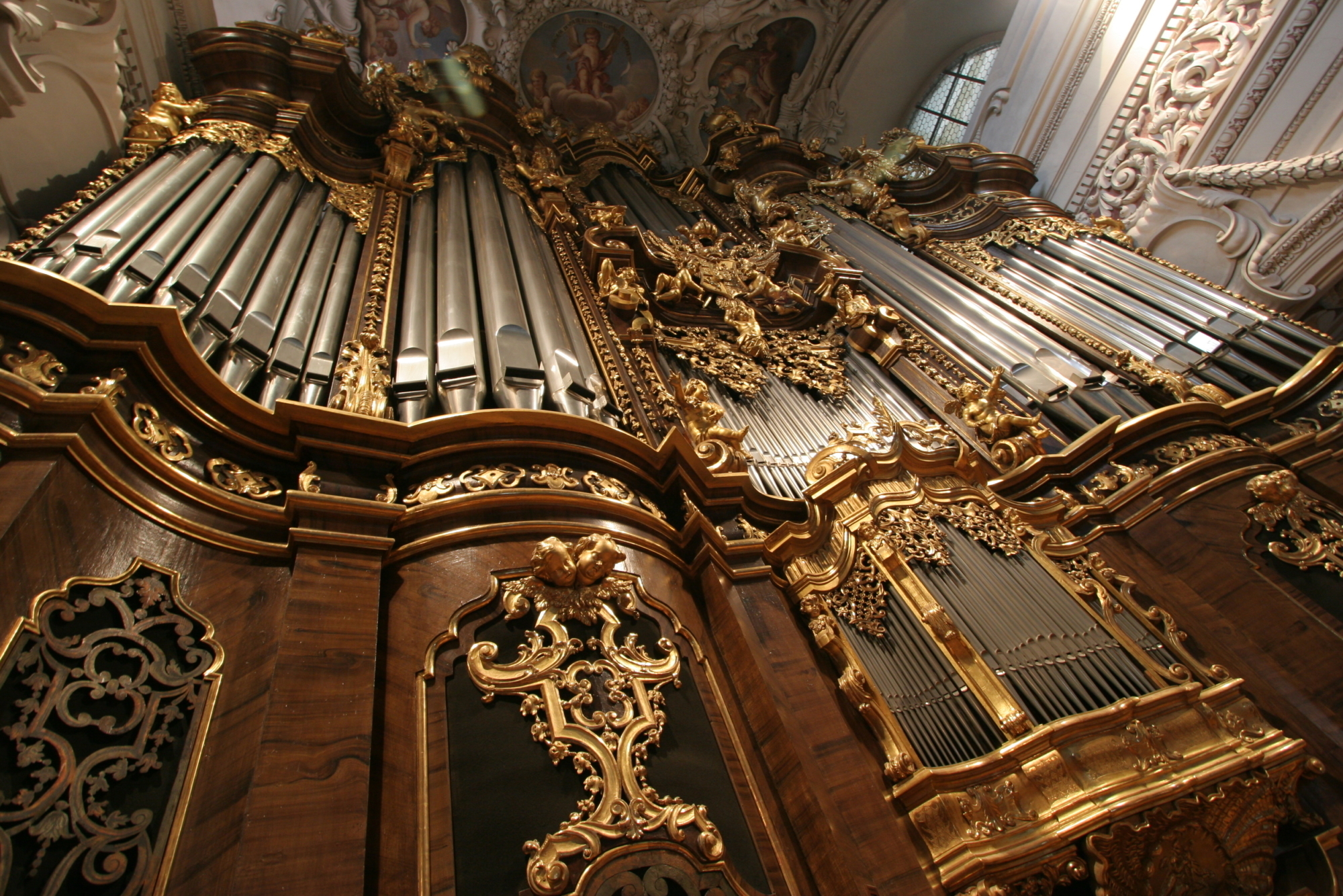 Domorgel 6