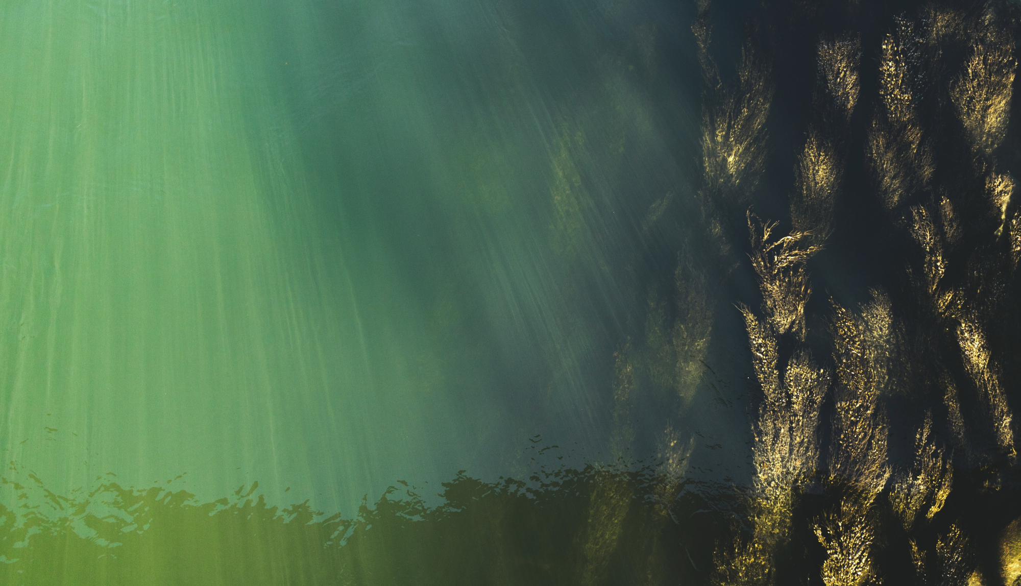 Donau Wasser Elias Sch Pixabay