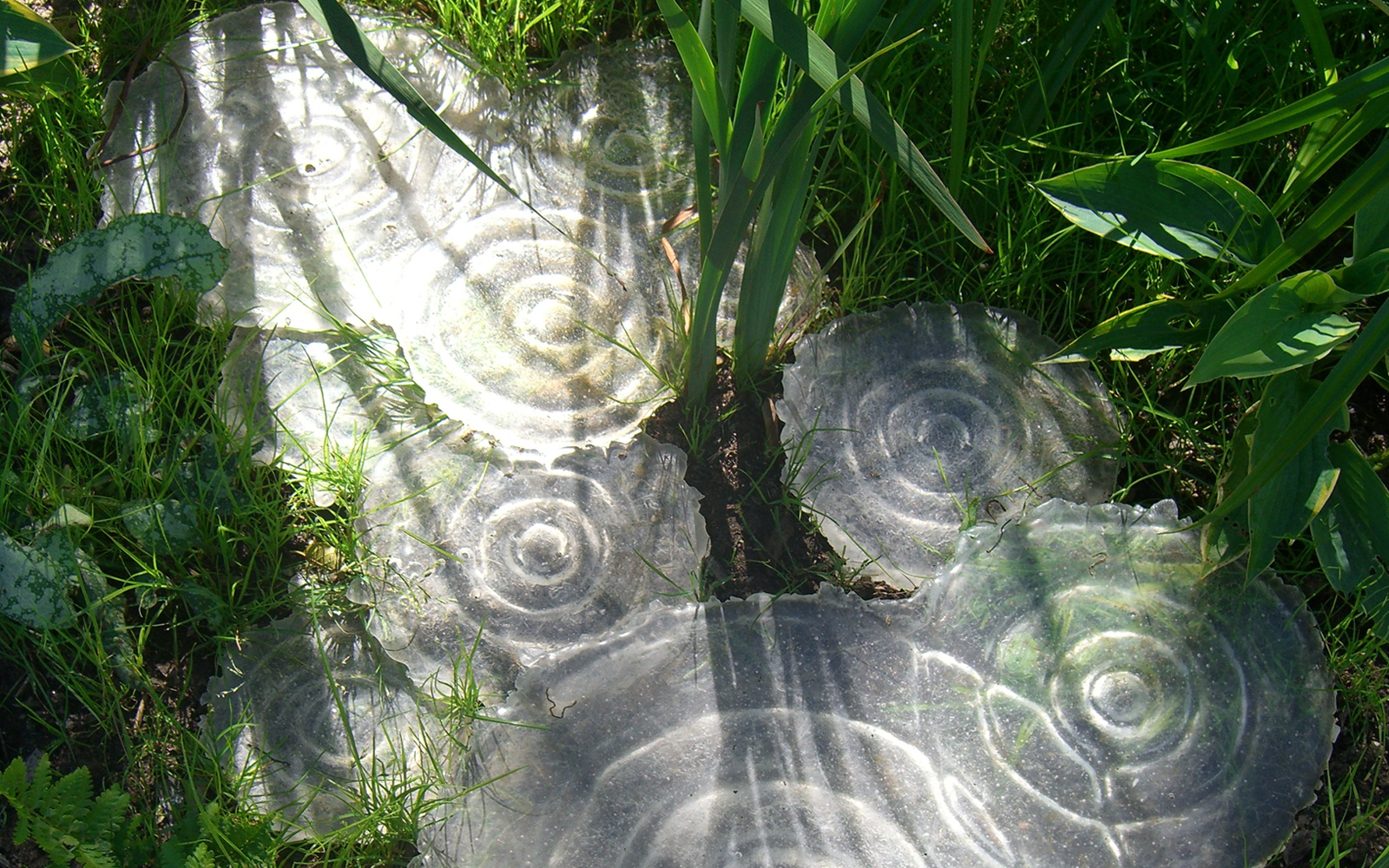 Eiskreise Natur