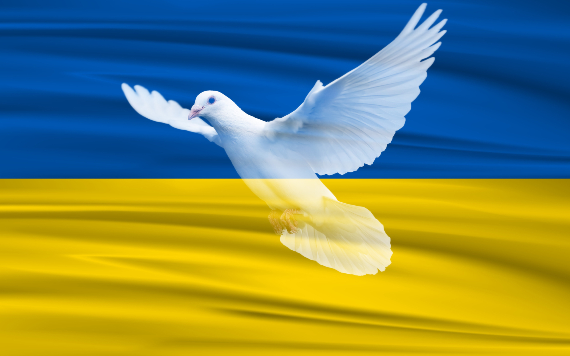 Frieden Ukraine