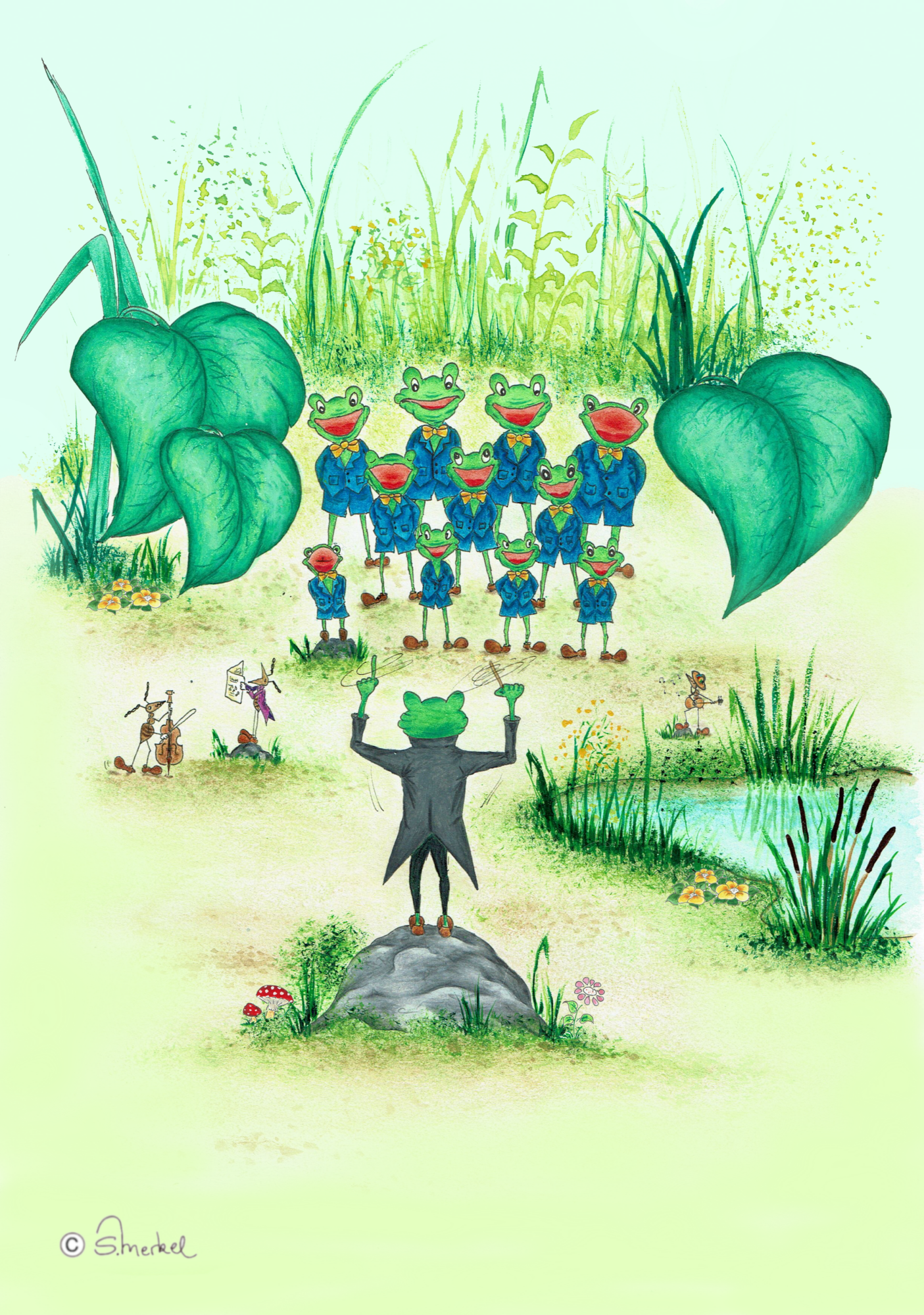 Froschchor B f Galerie