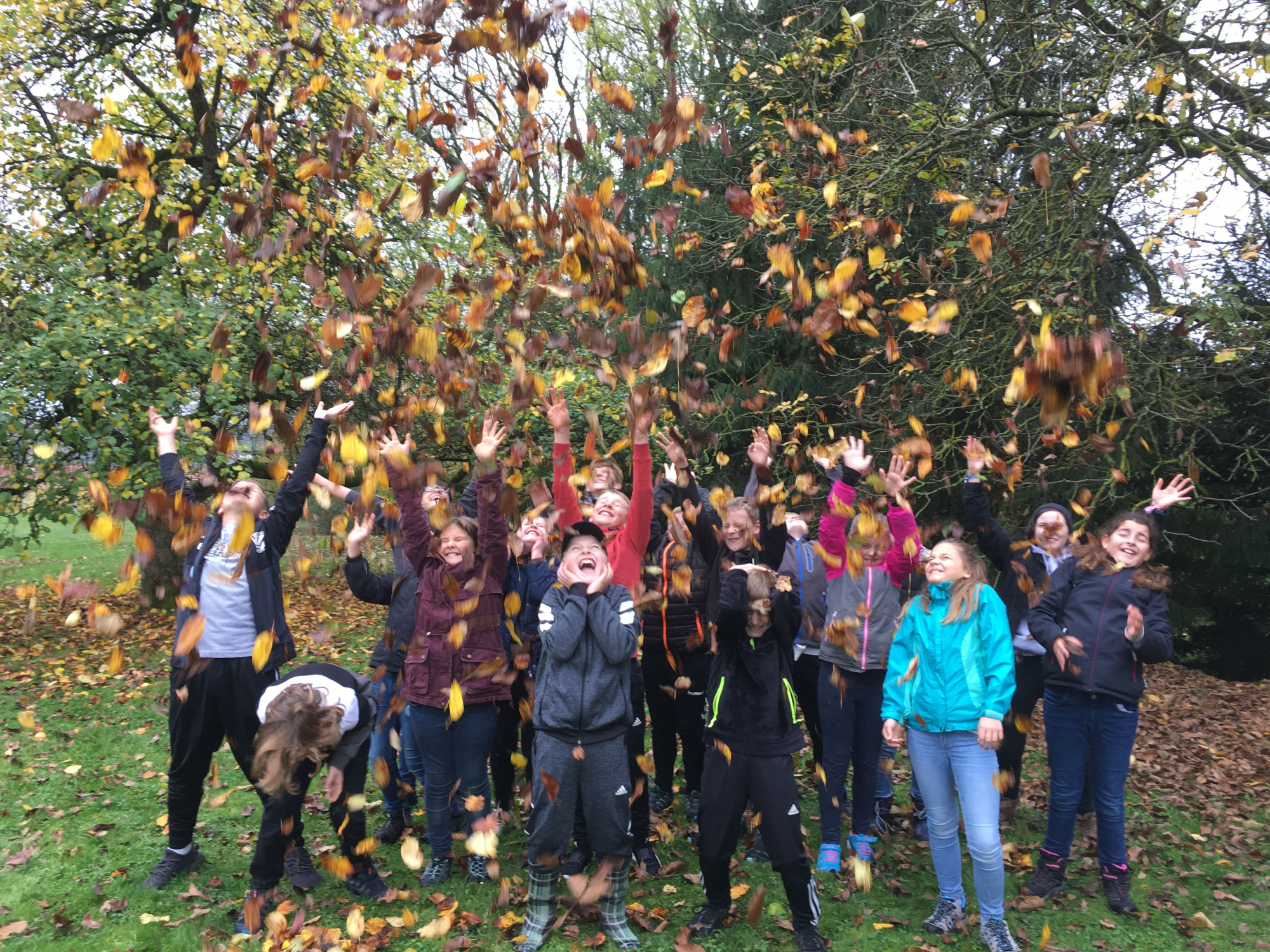 Herbstkurs