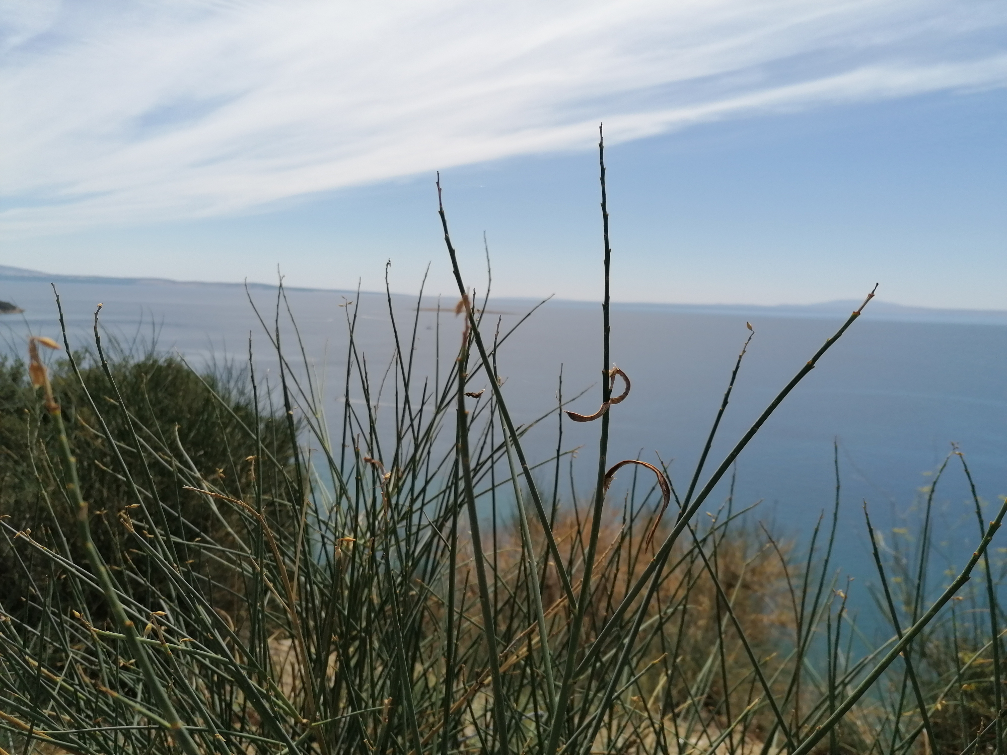 IMG 20200815 133743