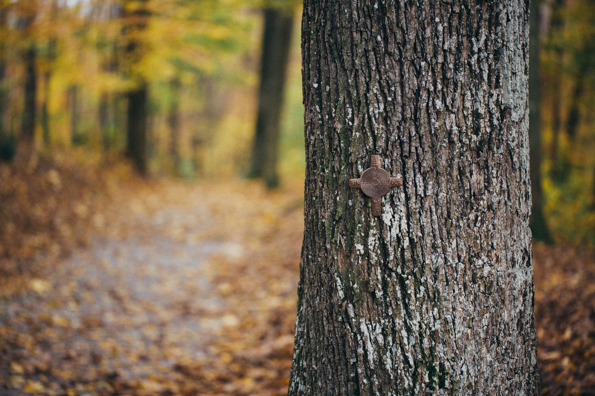 Kreuz am Baum Simona Kehl1