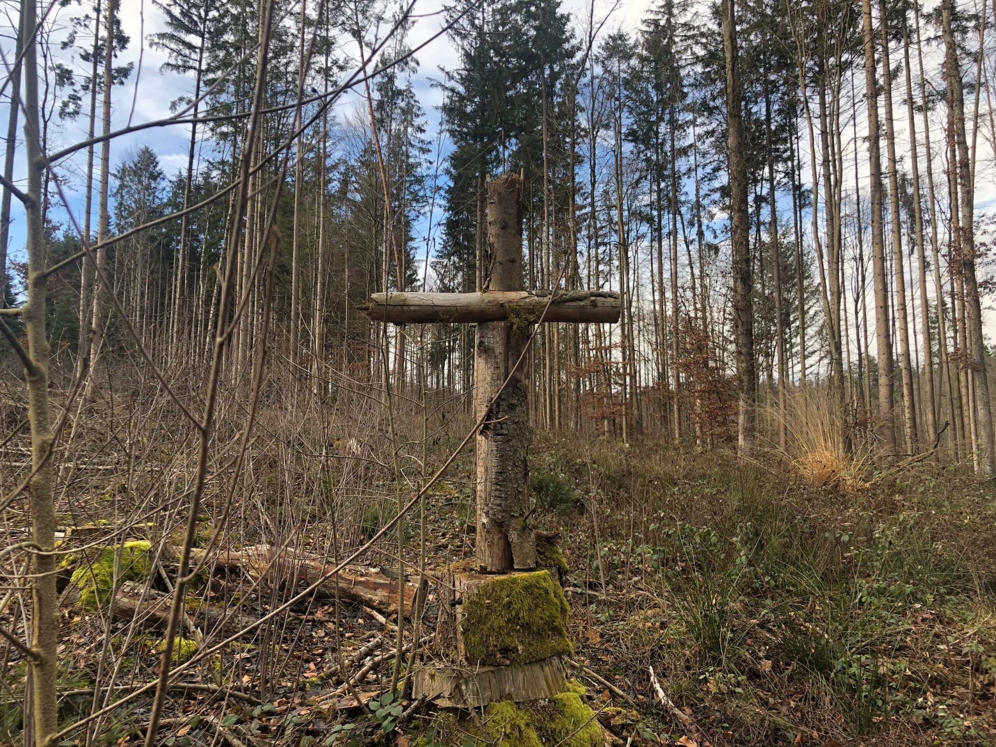 Mittel Kreuz Wald Monika Zieringer
