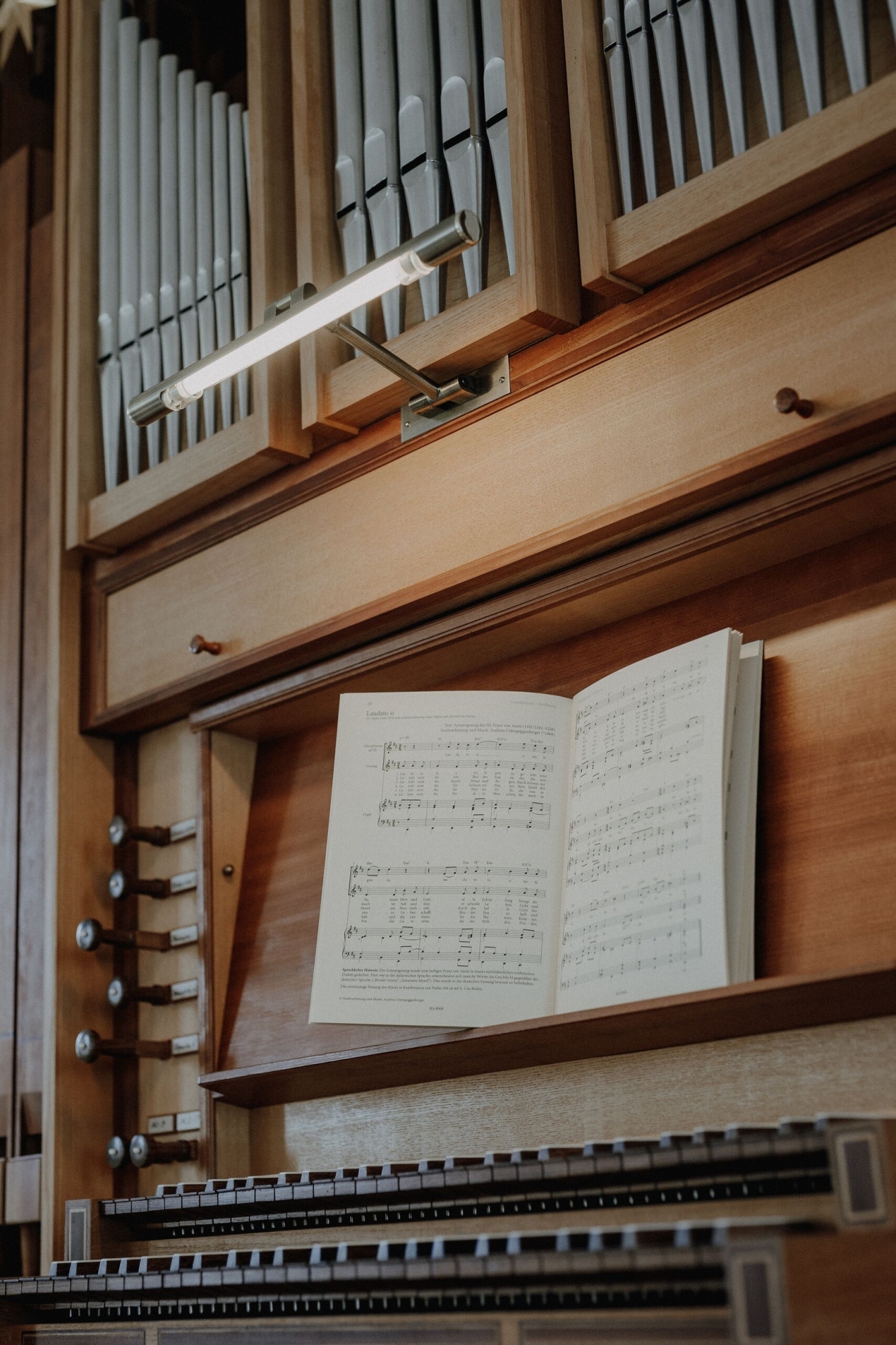 Mittel Orgel in der Domsingschule Martina Feicht