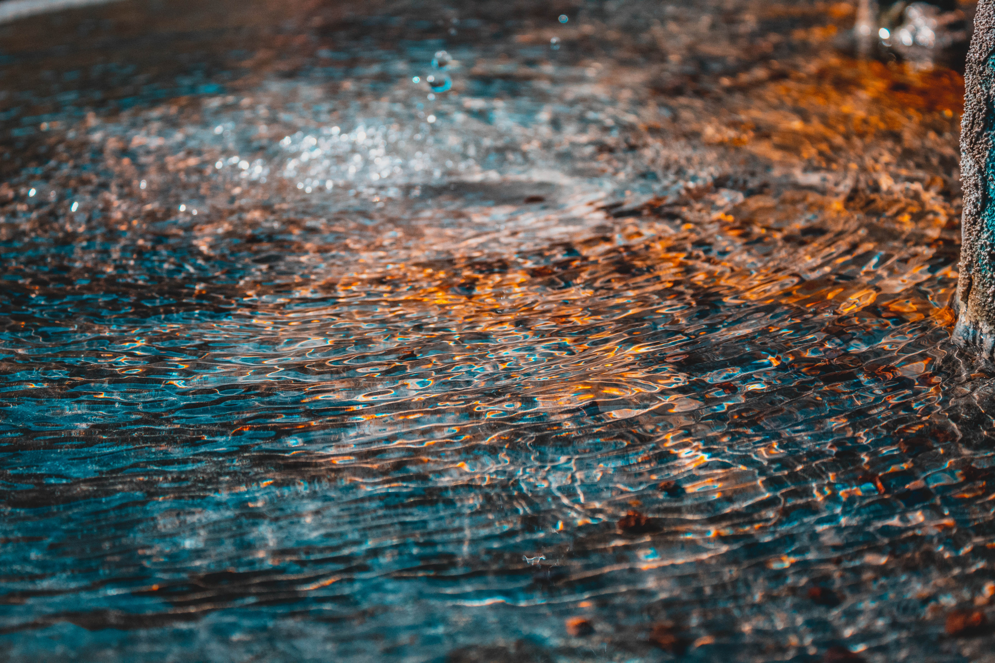 Photo by Imelda on Unsplash