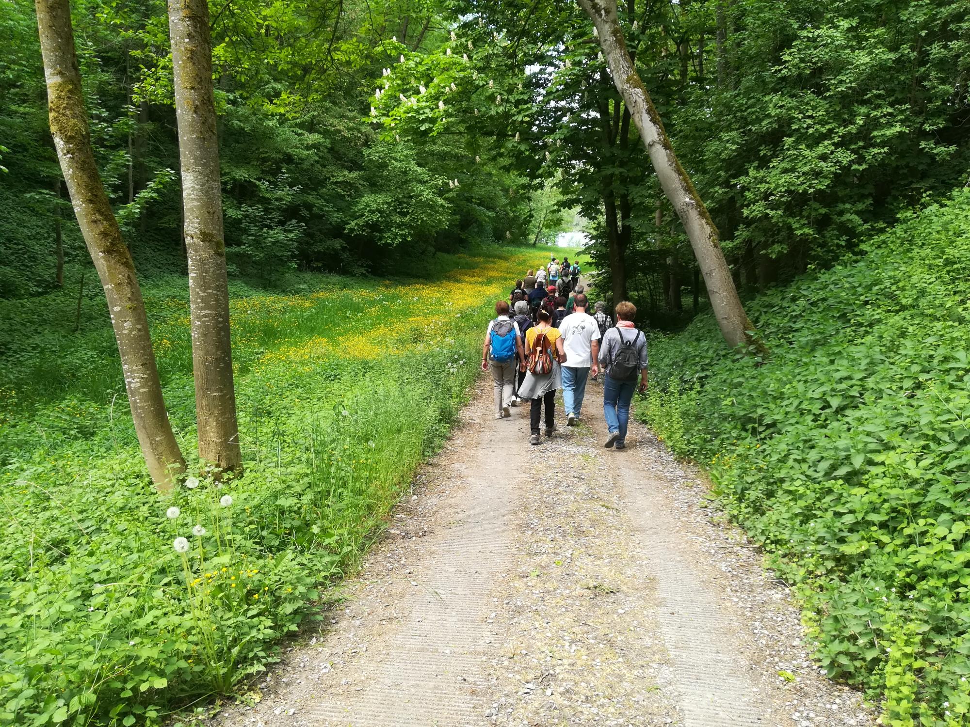 Pilgerbild 3