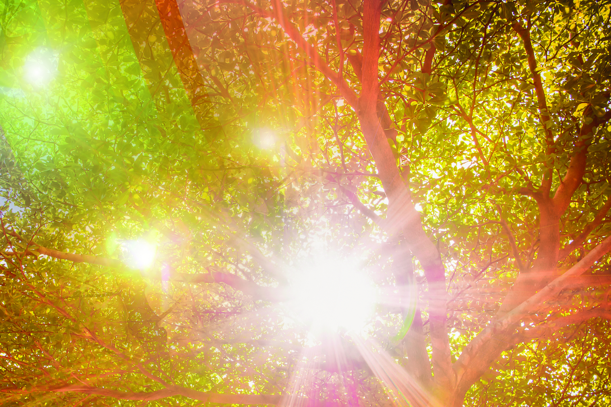 Regenbogenbunte Spiritualitaet
