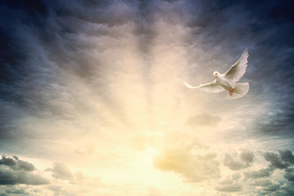Johannes Plenio/Pixabay