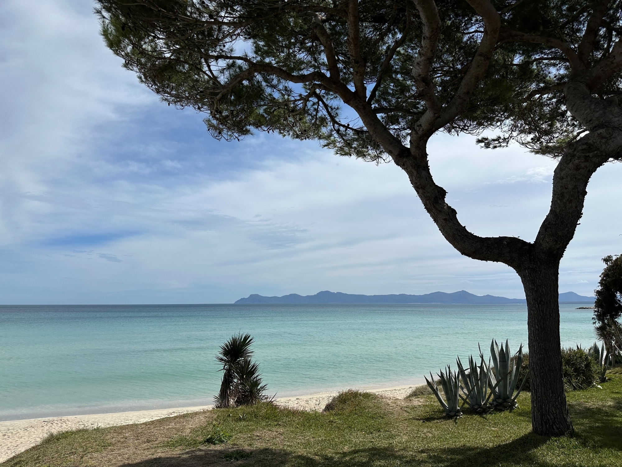 Strand Can Picafort zauner 4
