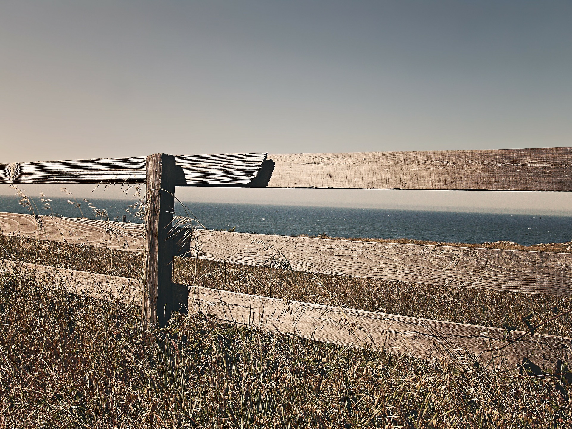 Fence 238475 1920 Ryan Mc Guire auf Pixabay