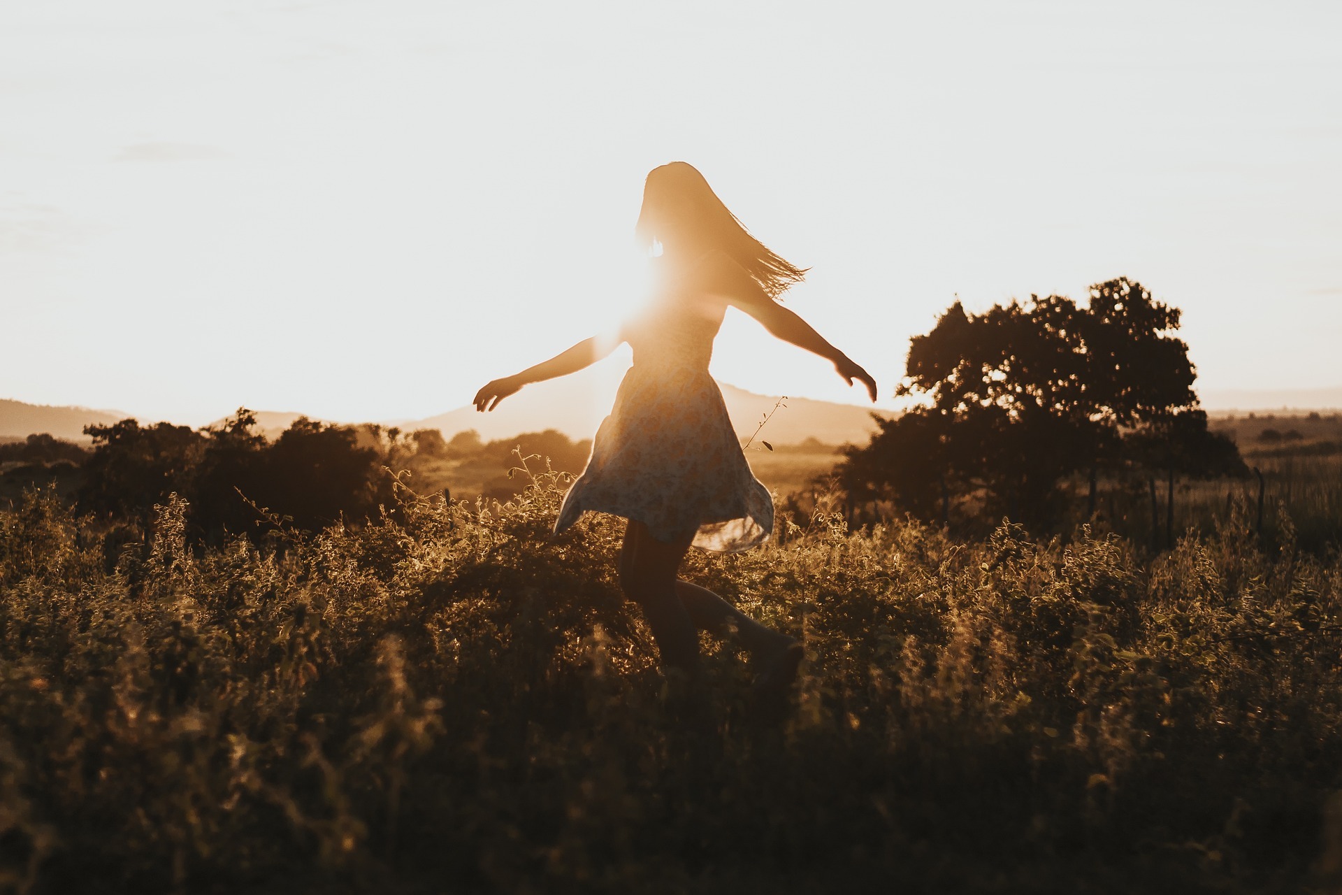 Freedom 4782870 1920 Bild von Jackson David auf Pixabay