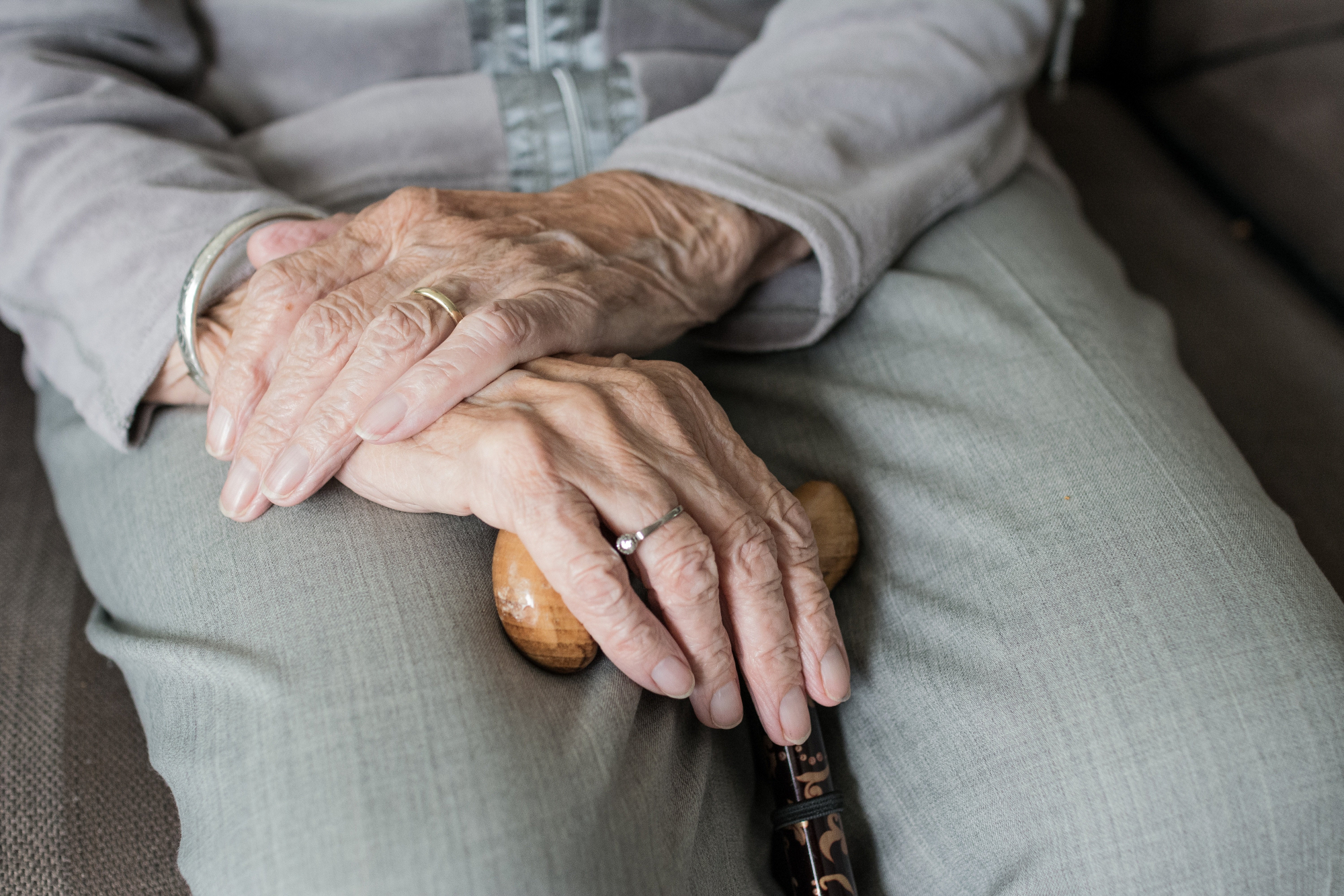 Hand 3666974 Bildquelle Bild von Sabine van Erp auf Pixabay