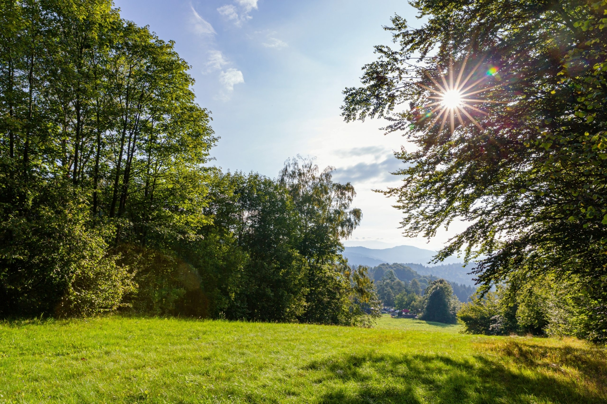 Lgs freyung geyerberg vorher andreabauer scaled