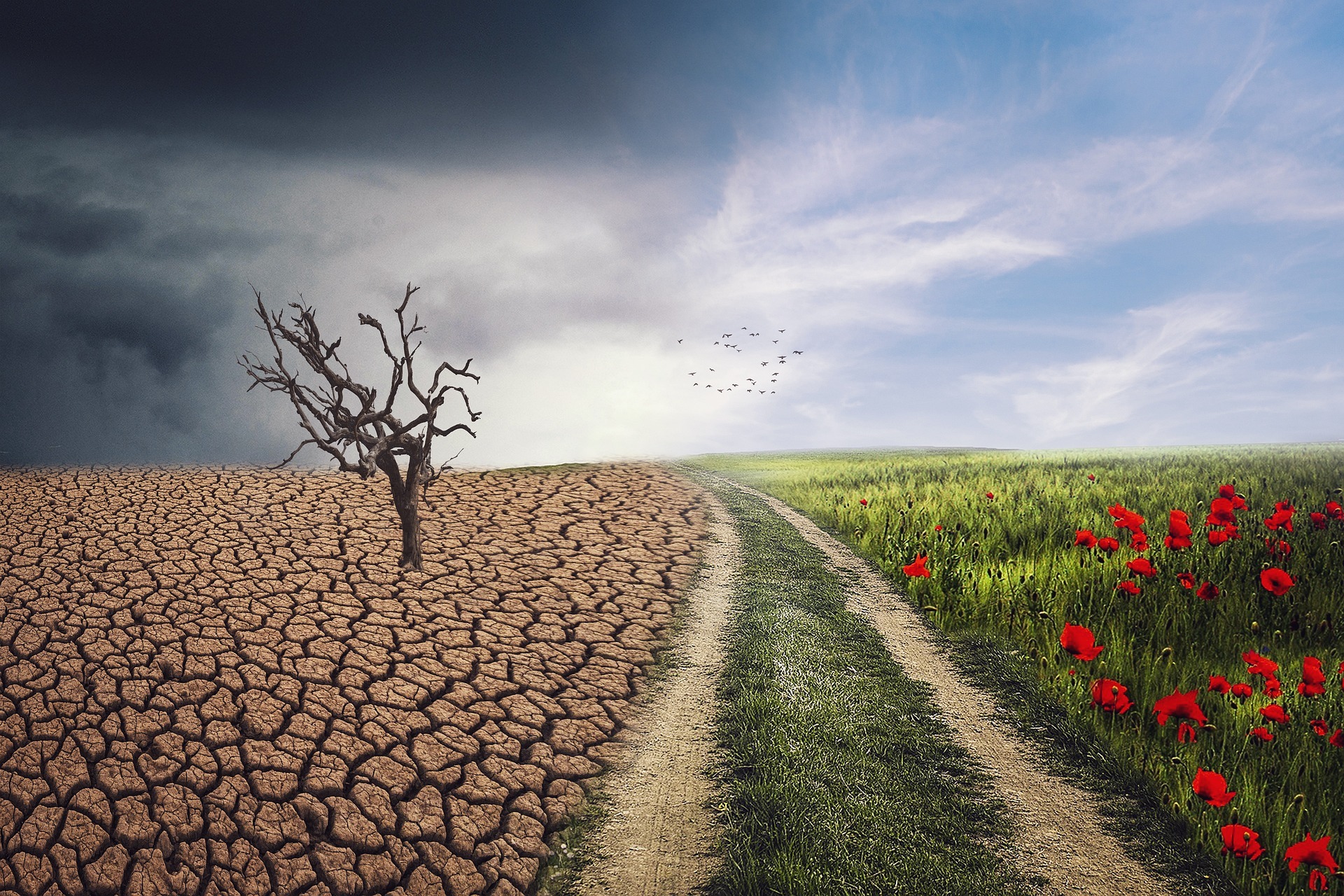 Pxclimateaction g95b6c0966 1920 Enrique auf Pixabay