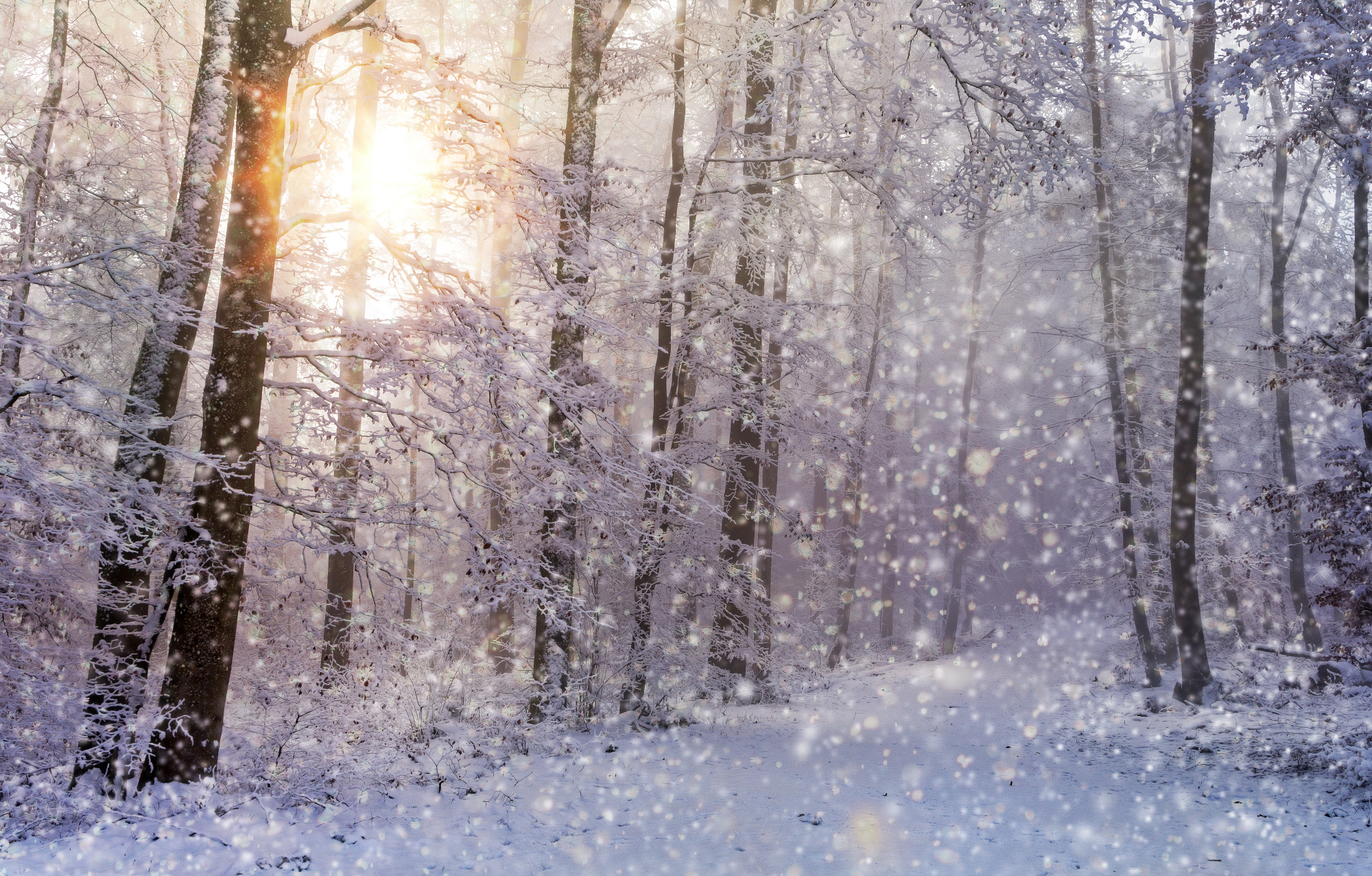 Snow joerg vieli3