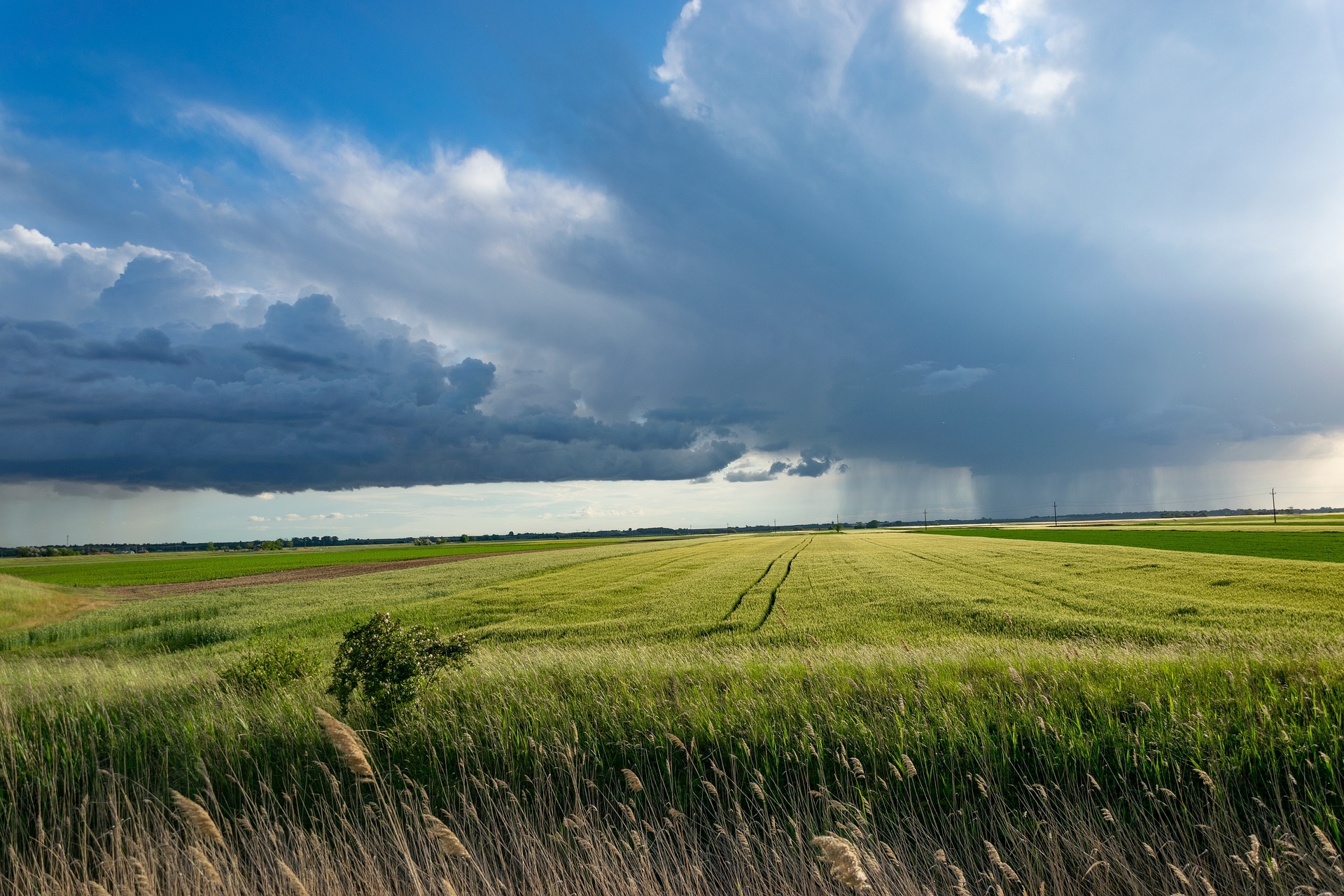 Storm g63953f754 1920 Bild von Otto auf Pixabay