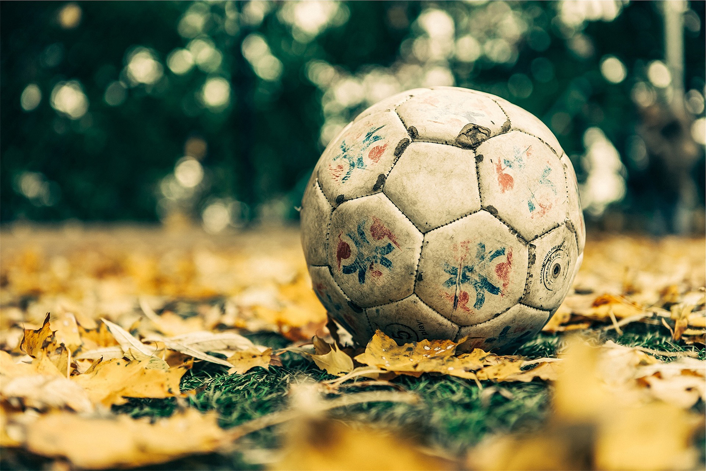 2022 11 14 pb alb fussball