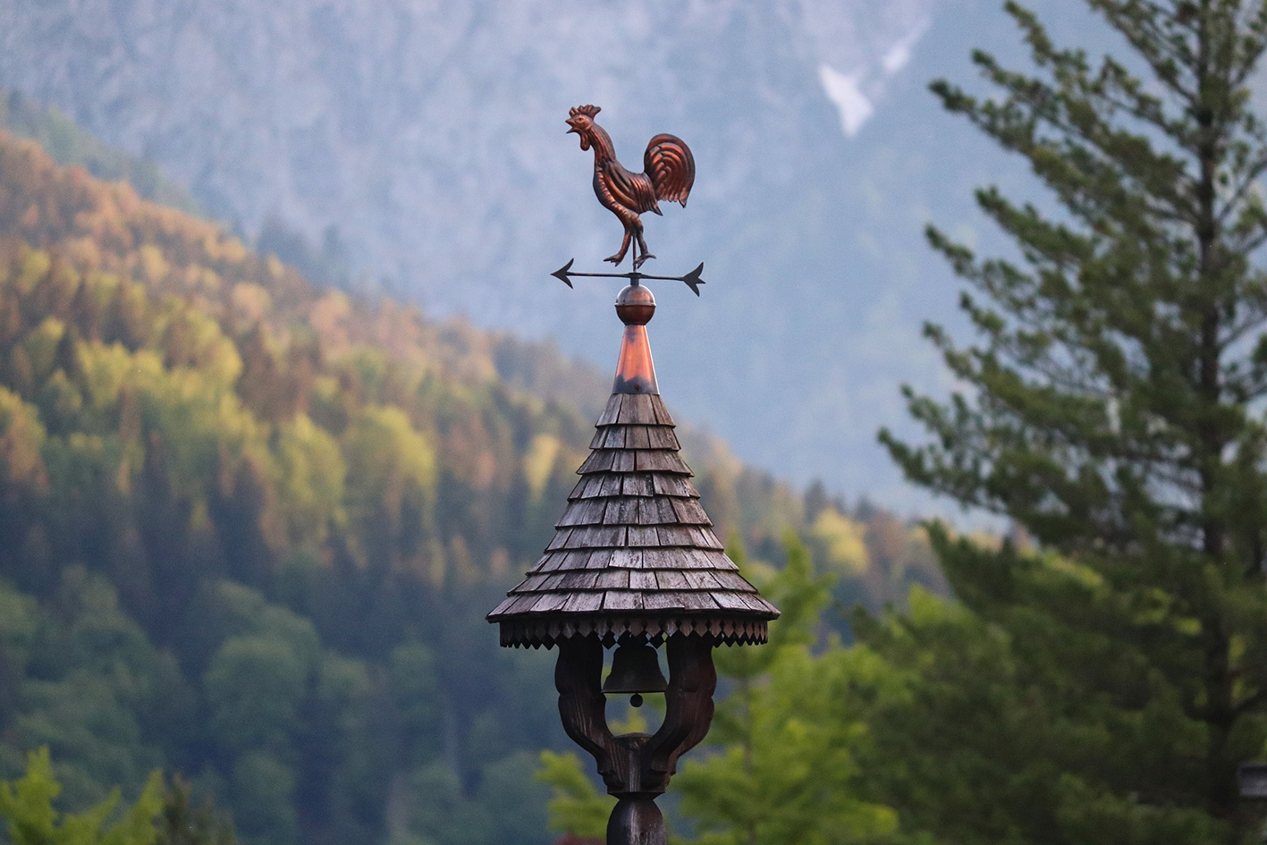 2023 04 03 pb alb wetterhahn