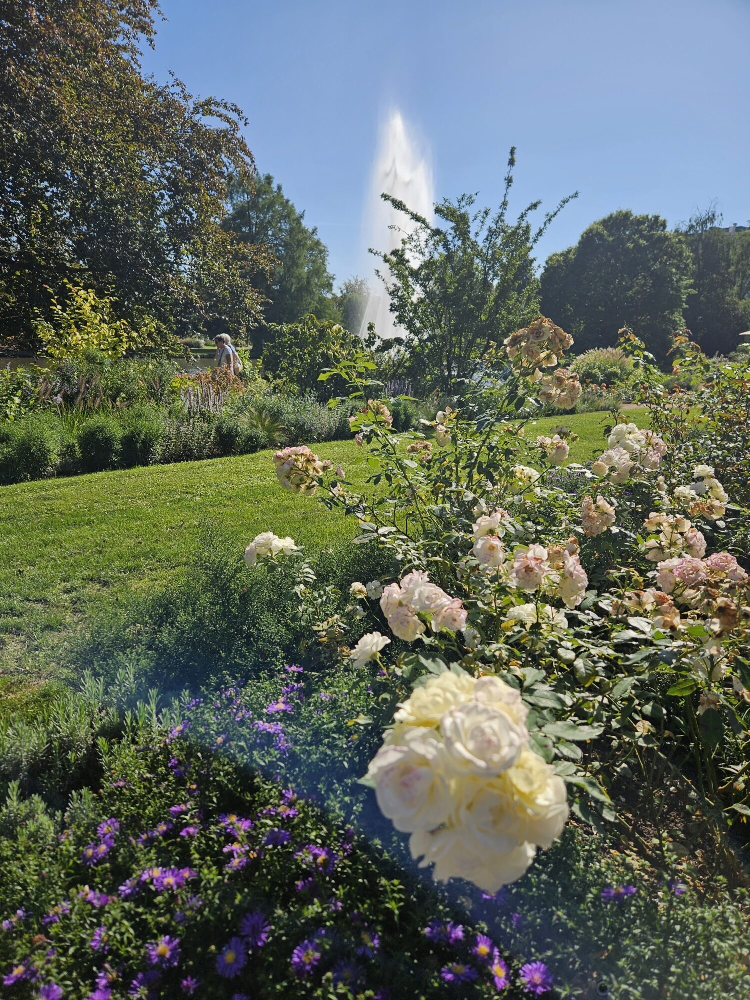 Rosengarten Zweibruecken