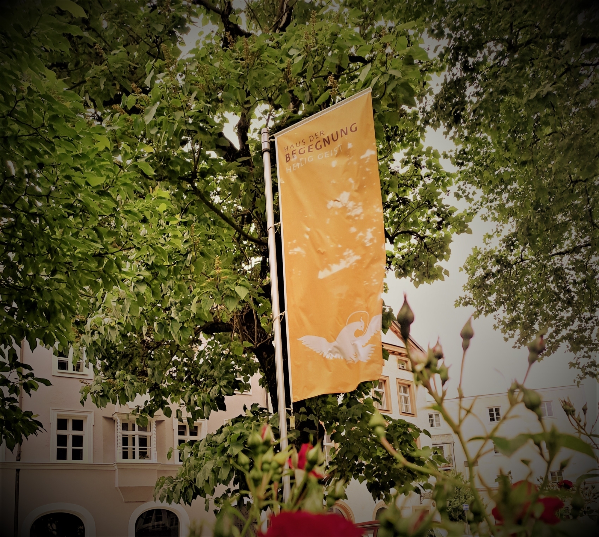 Fahne im Vorgarten-HdB-Sabine Rahm