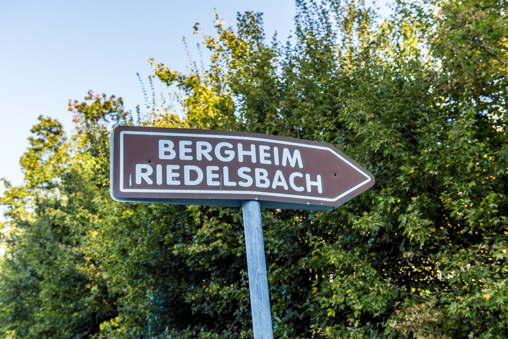 Bergheim