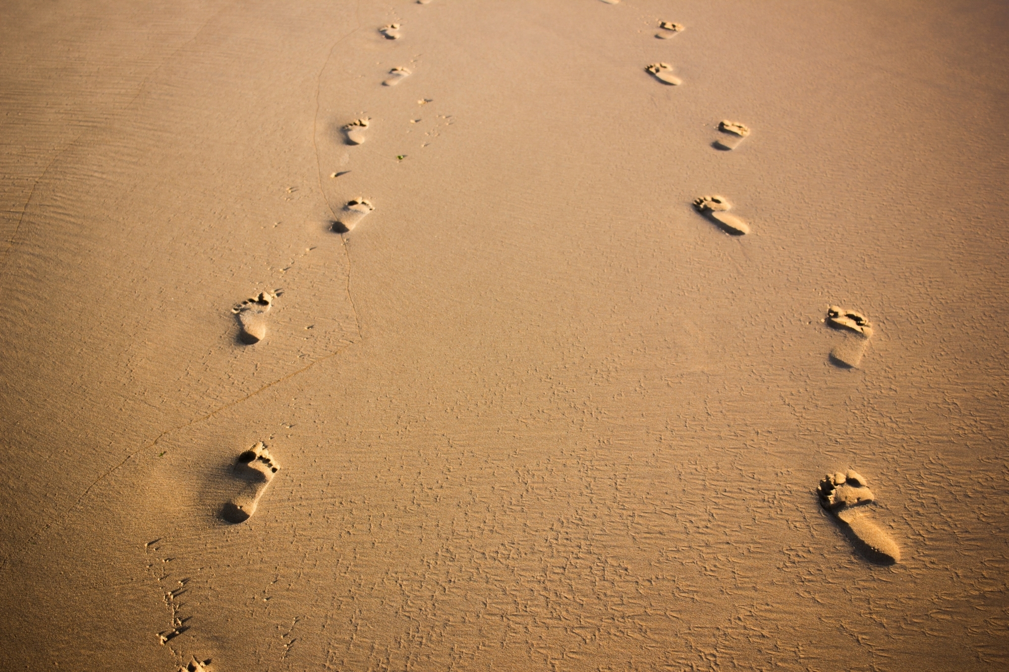 Felipe correia Sc Qngs6o O1 E unsplash
