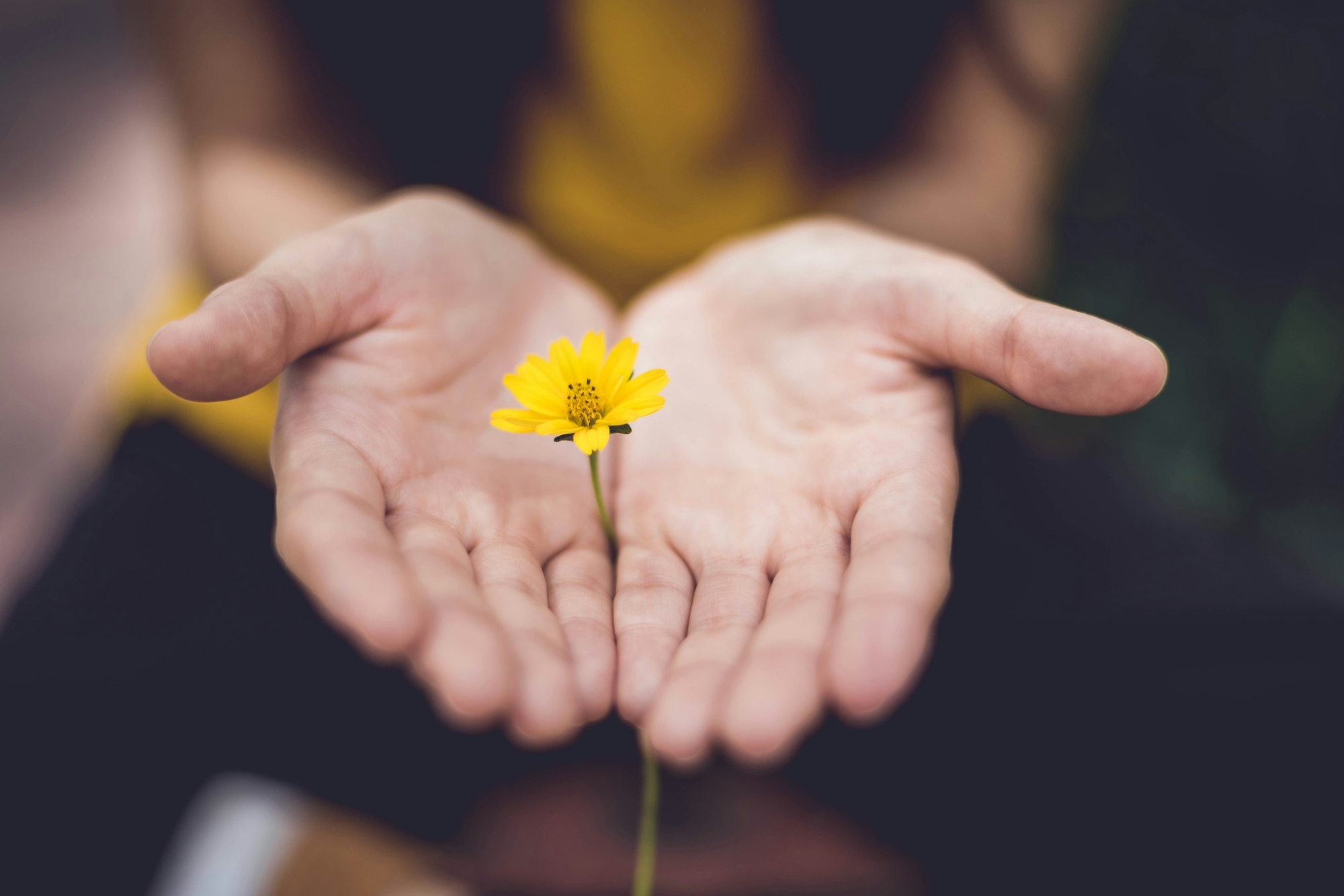 Lina trochez kt P Ky Us3 Qjs unsplash