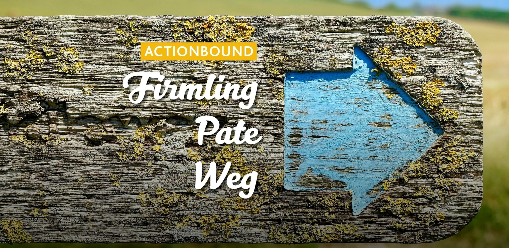 Actionbound pfeil