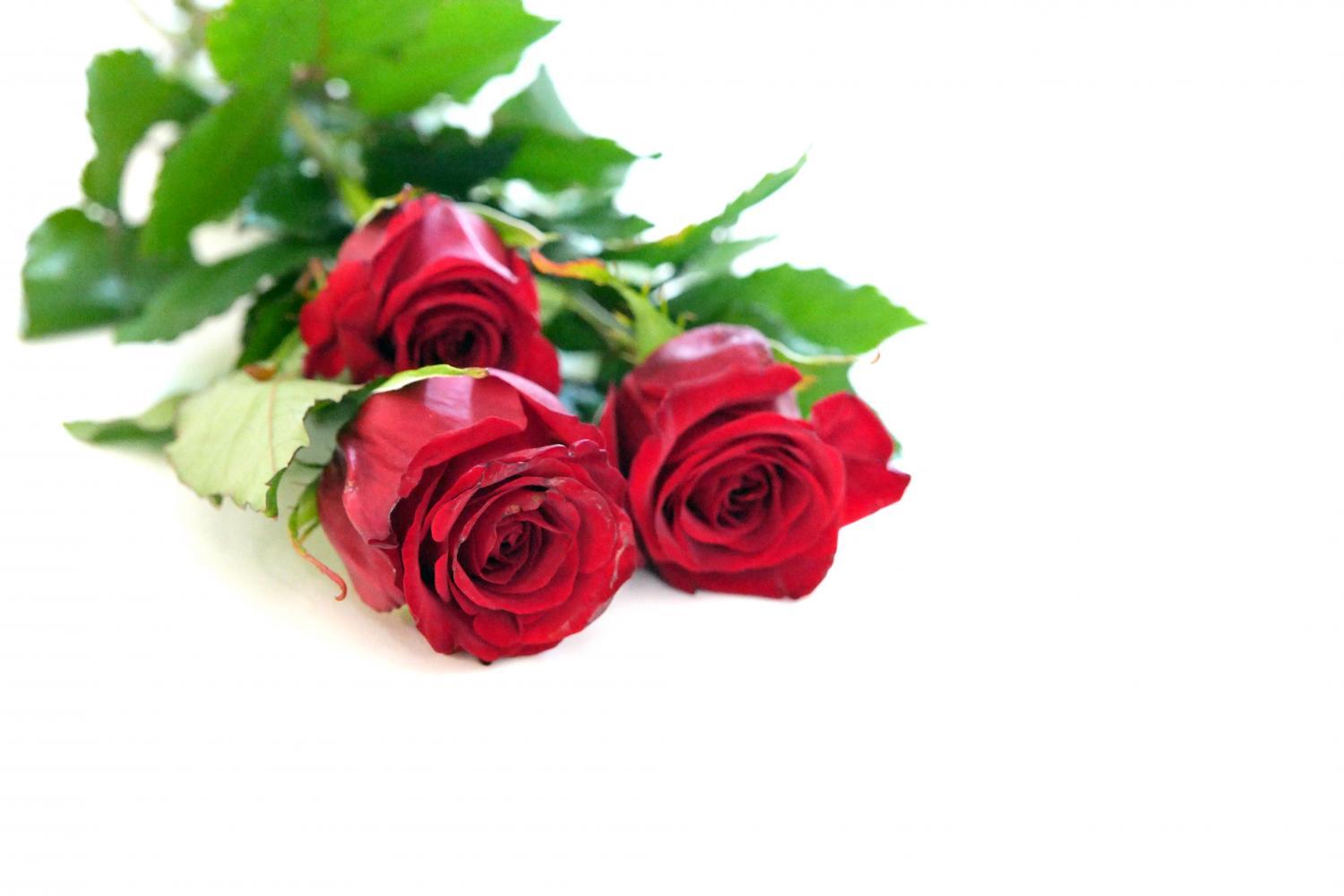 0381 drei rote rosen by peter weidemann pfarrbriefservice
