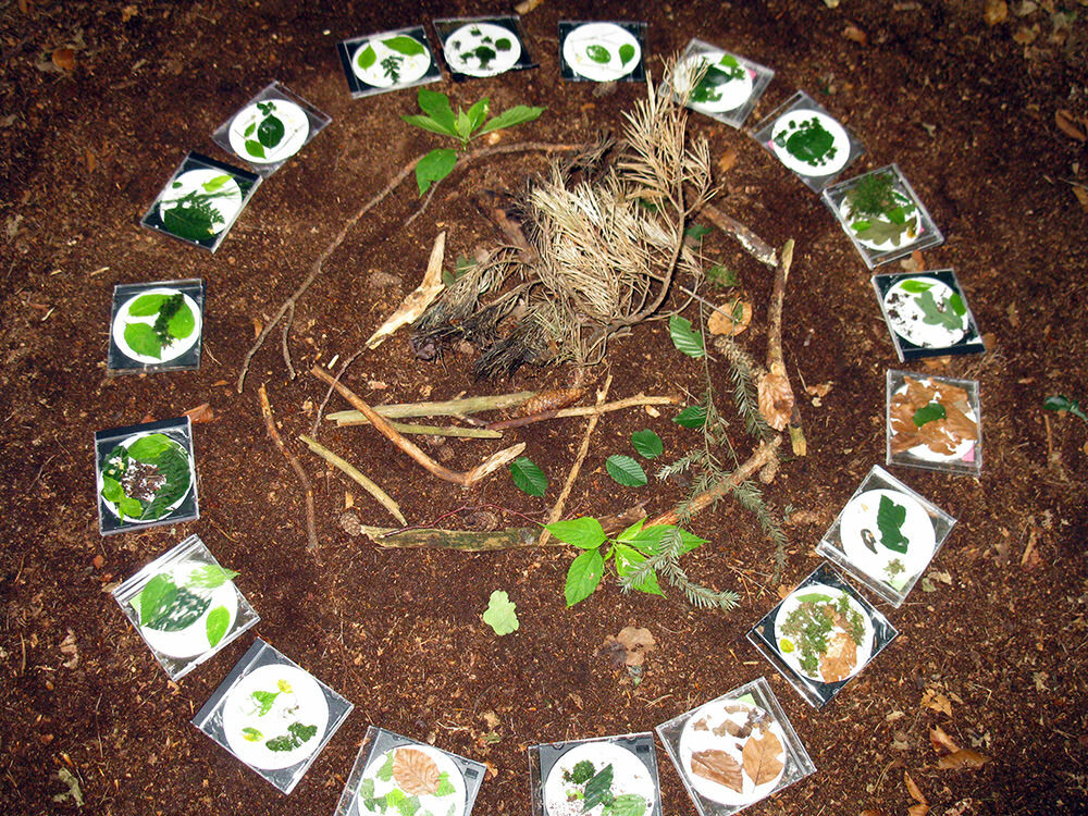 Naturerleben Kindergarten