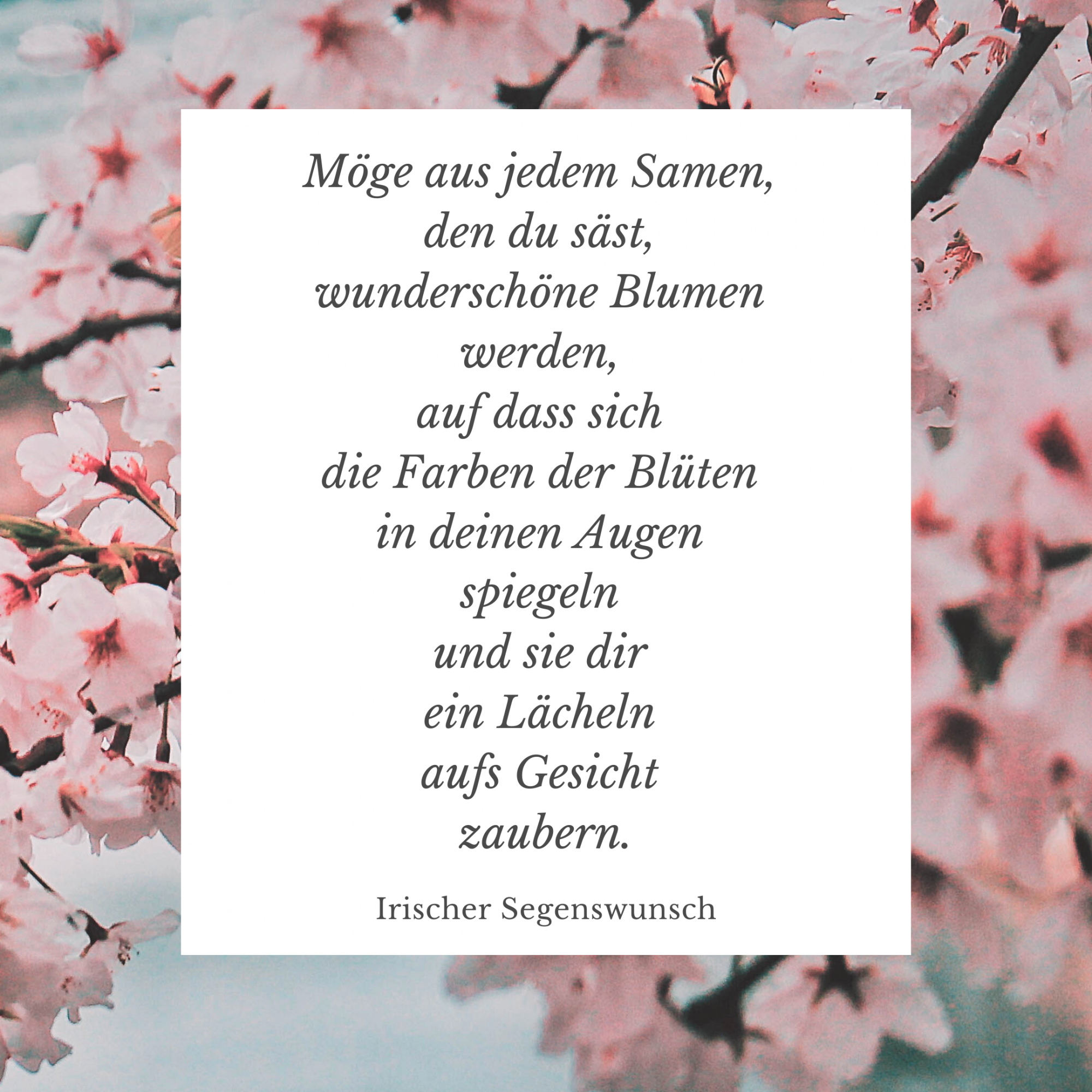 2020 07 12 Segensspruch7