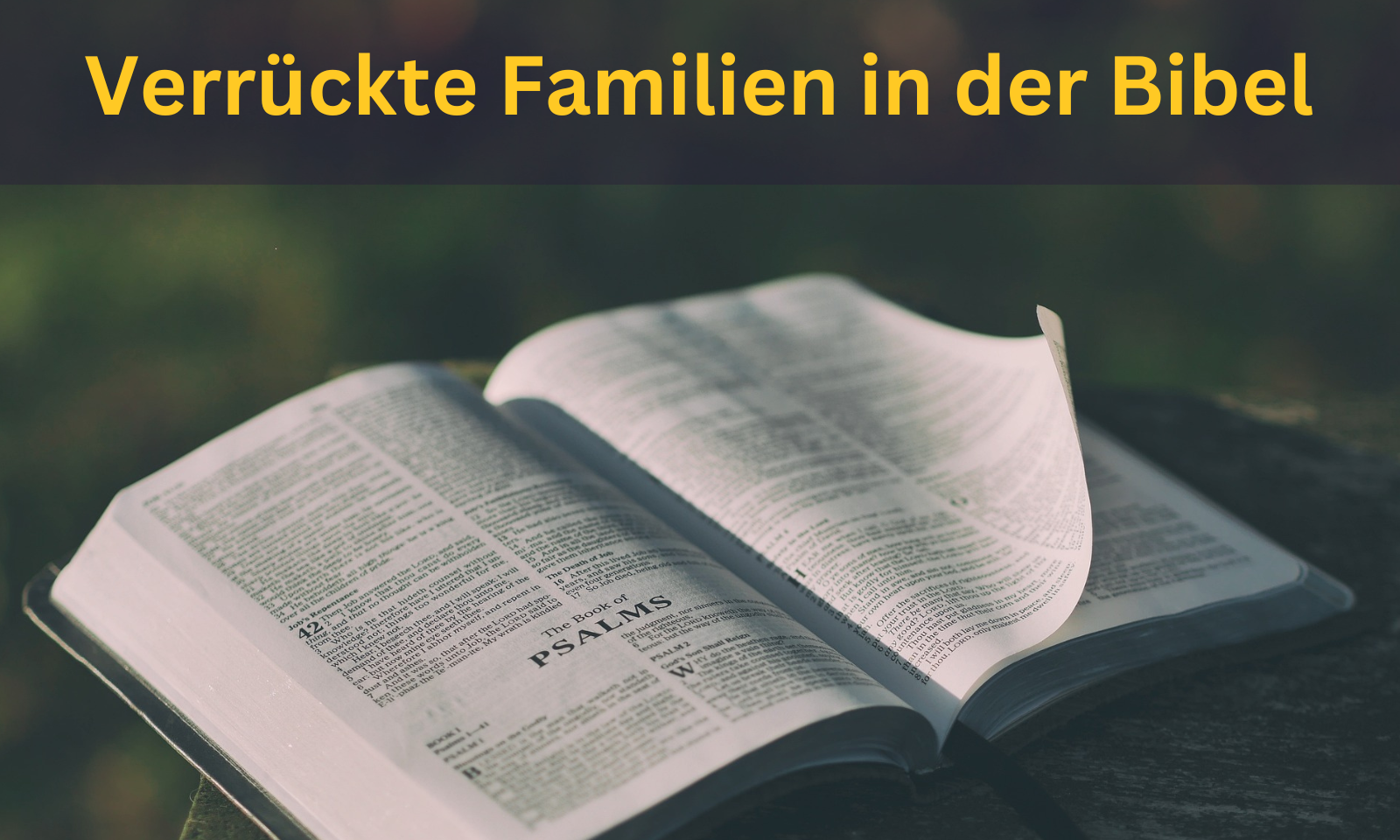 2023 04 19 KEB Verrueckte Familien in der Bibel