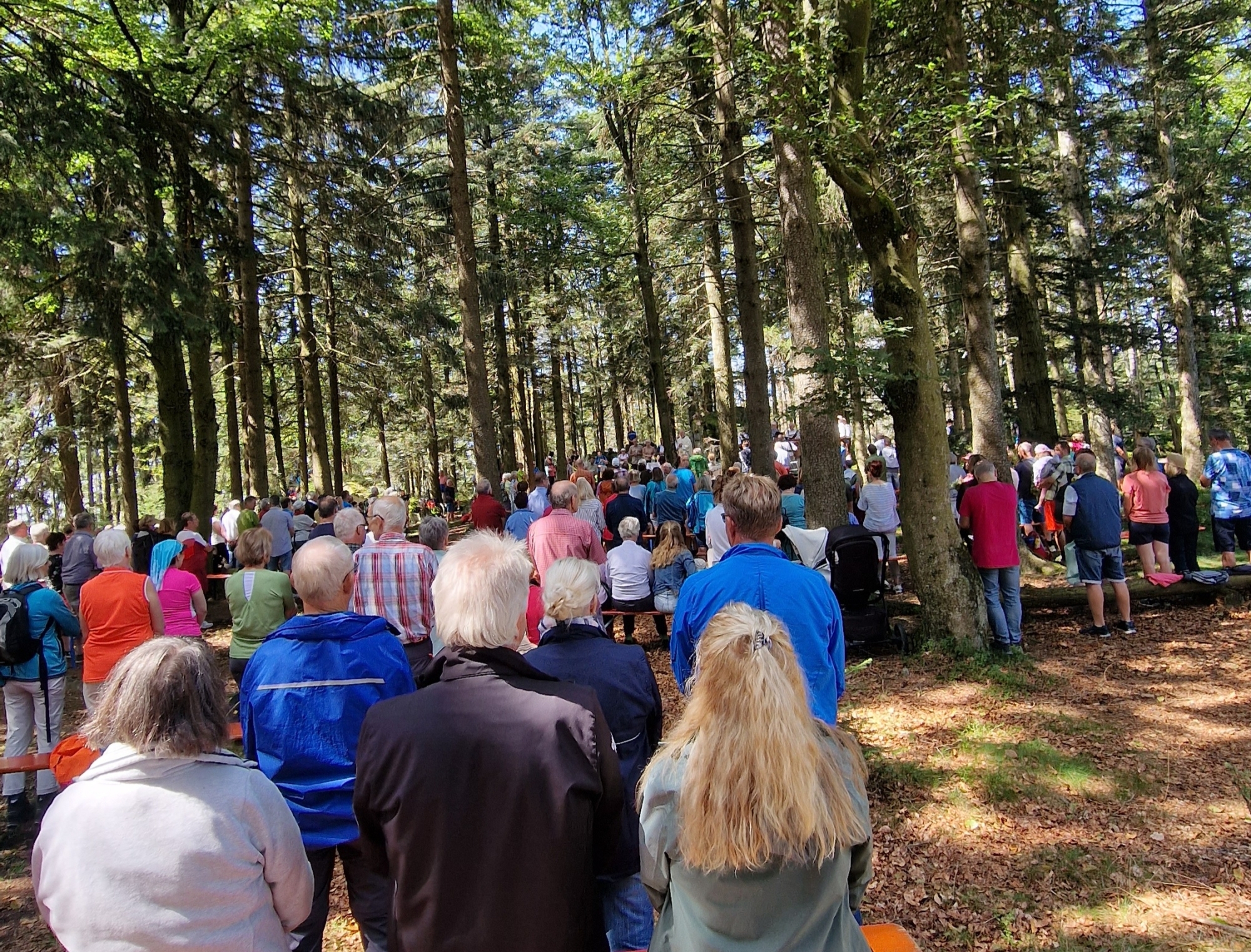 2024 aktuelles geisskopf 15 august 1