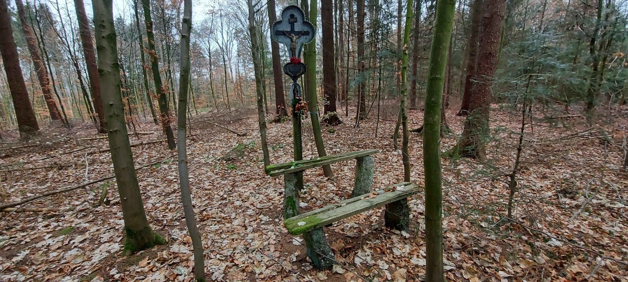 Gri Grieskirchen