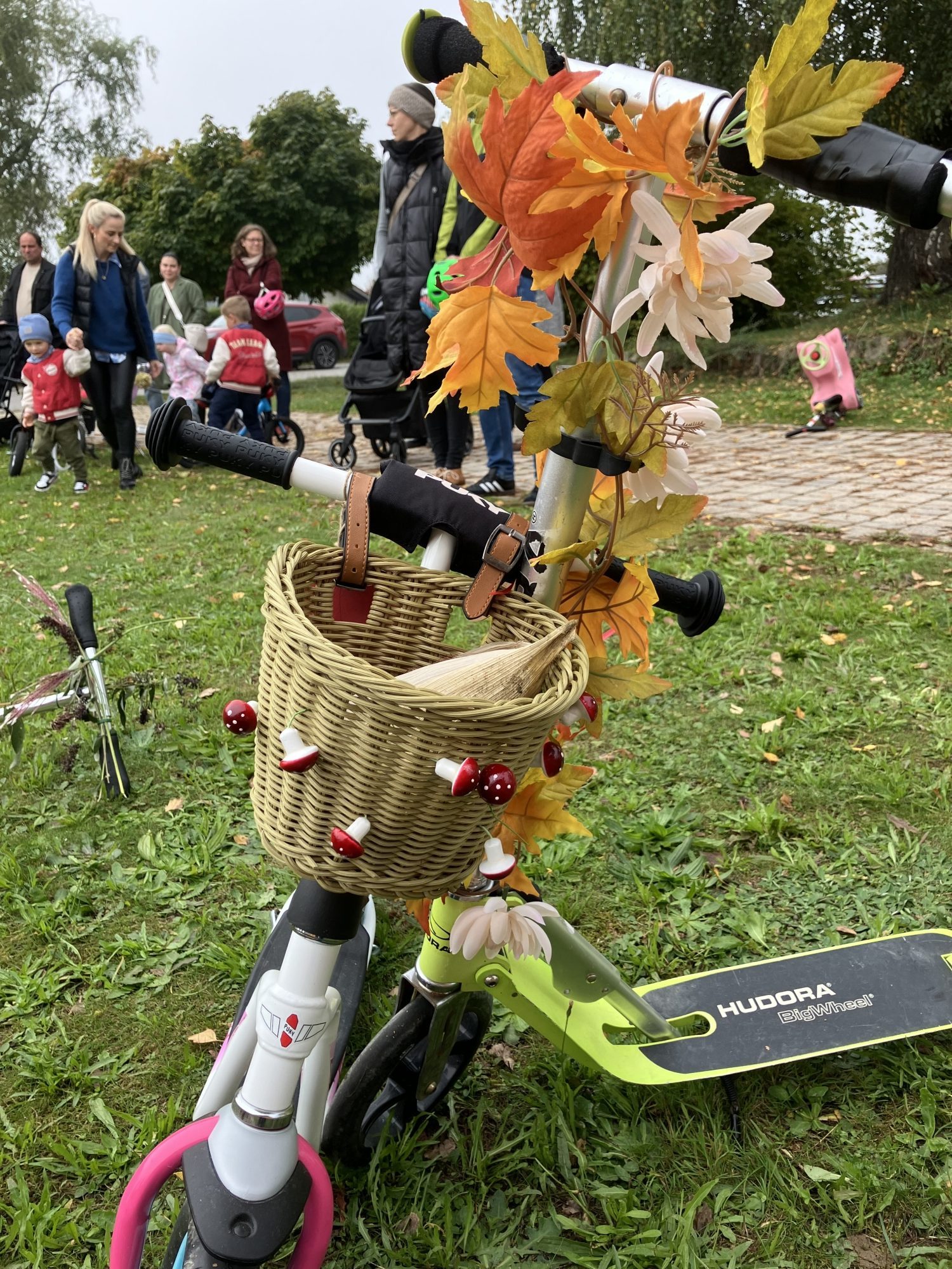 IMG 1327