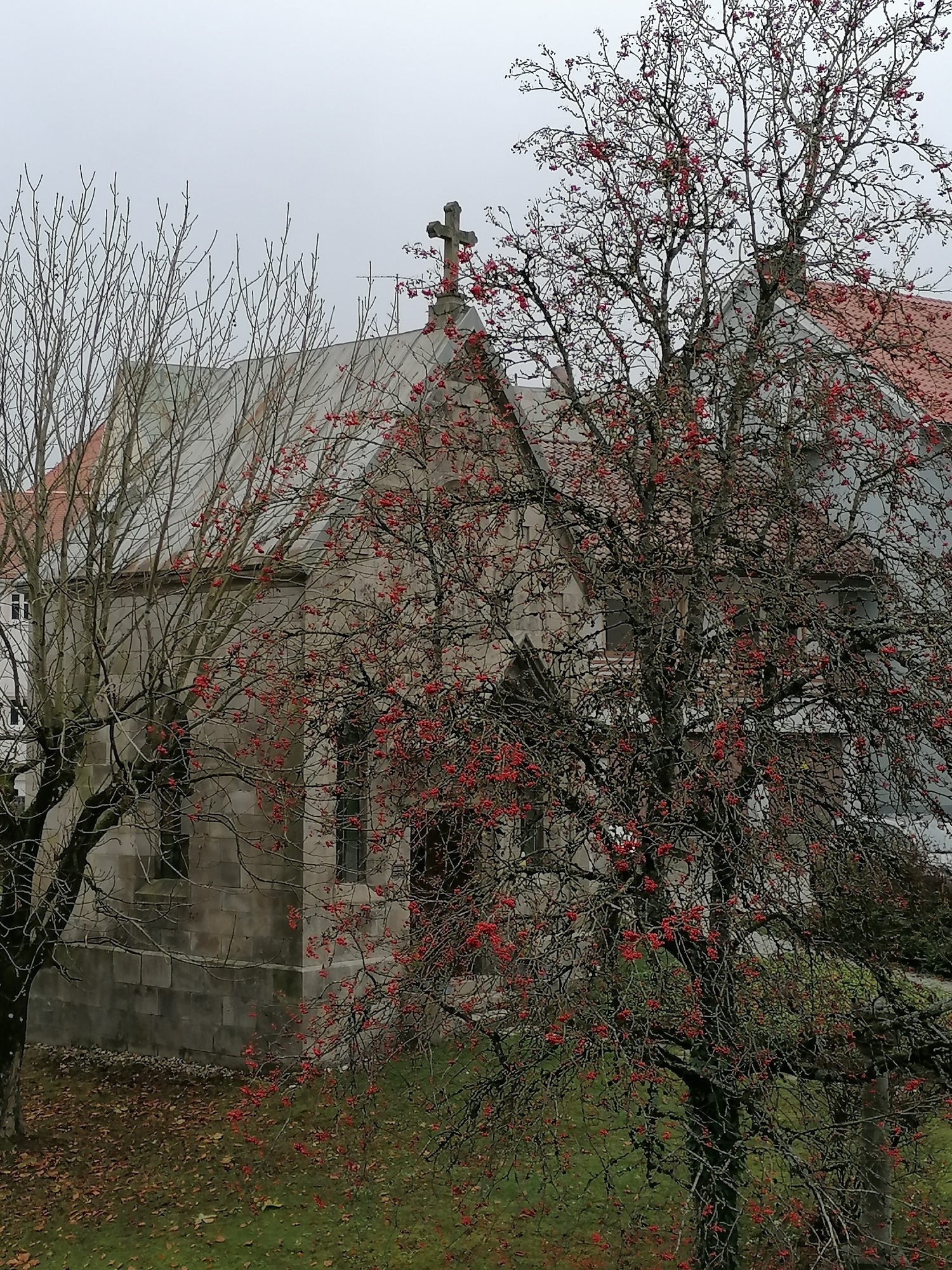 IMG 20241112 115815