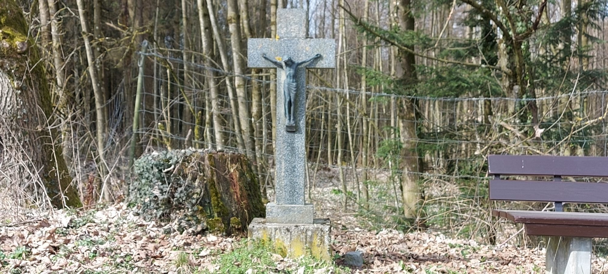 STS Klosterholz 2