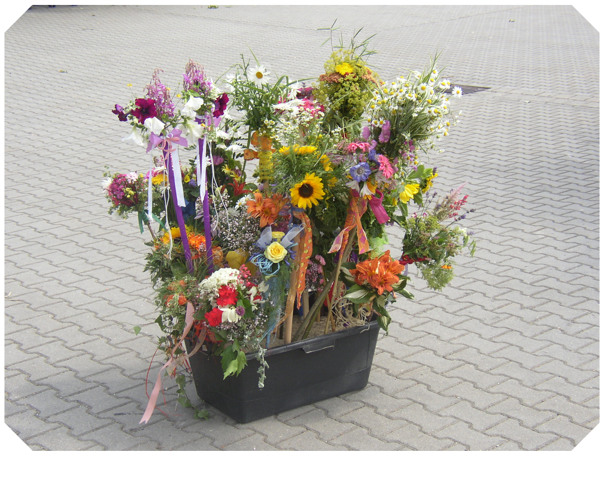Sommerstecken