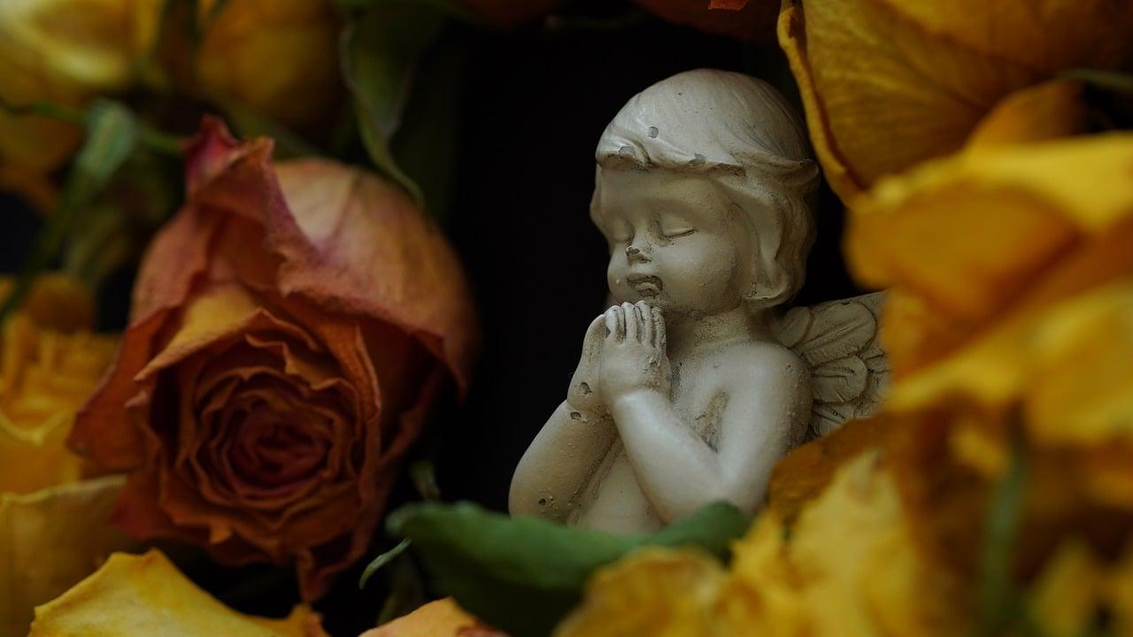 Angel 8247278 1280