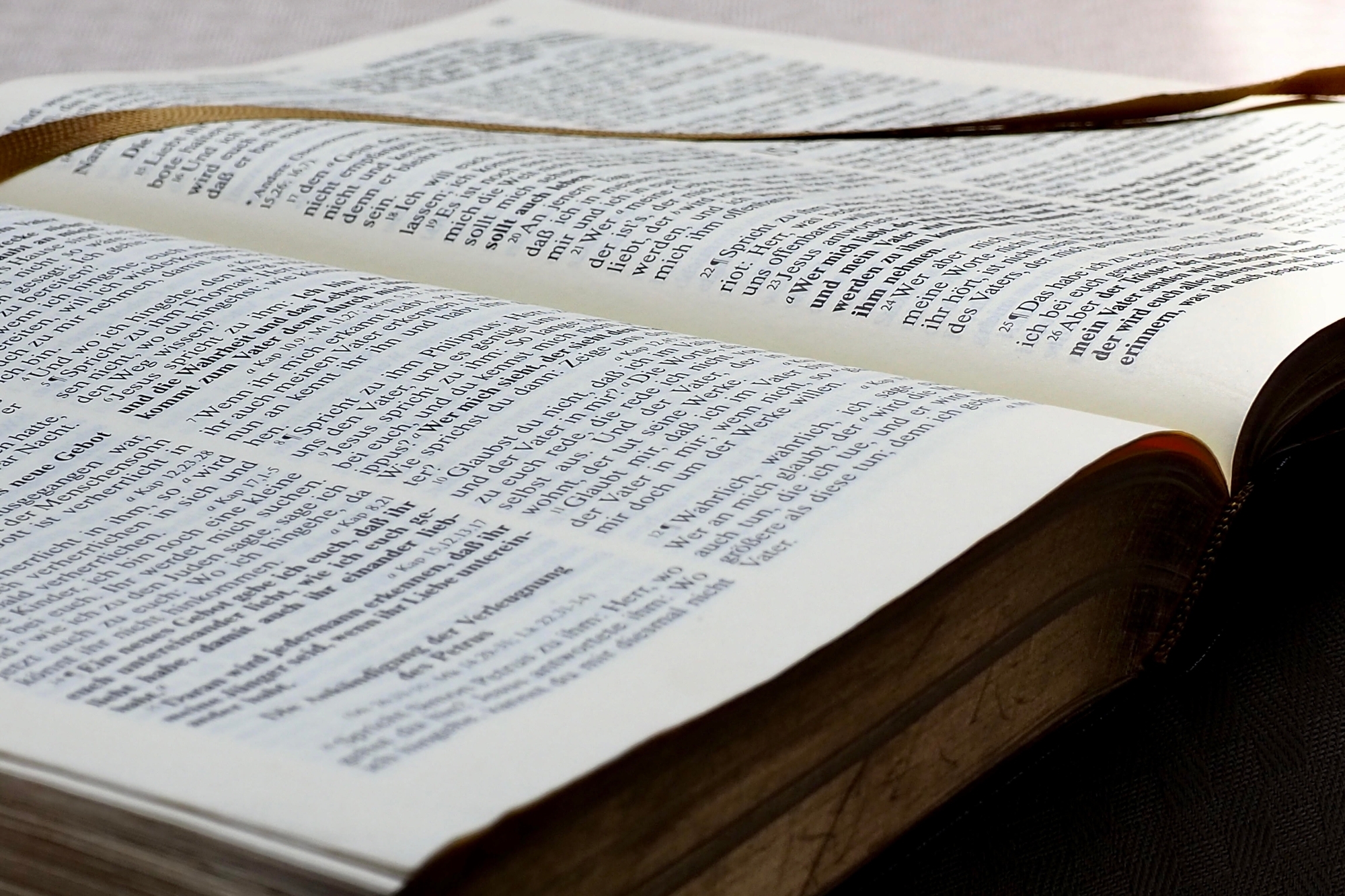 Bibel by Gabi Fleischmann pfarrbriefservice