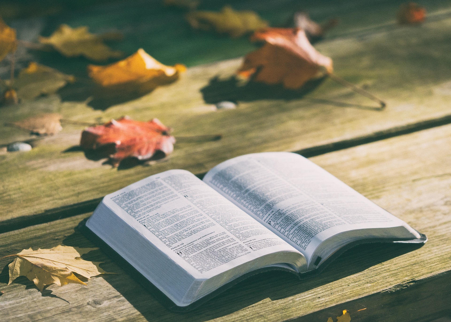 Bibel