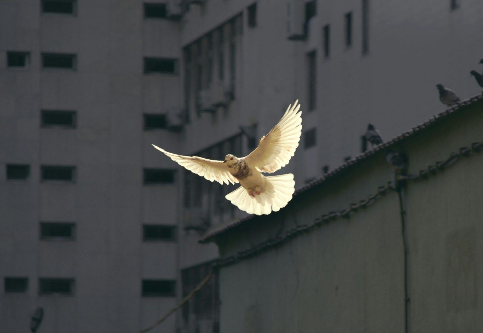 Sunguk kim Jhq Bxs O Ru XA unsplash